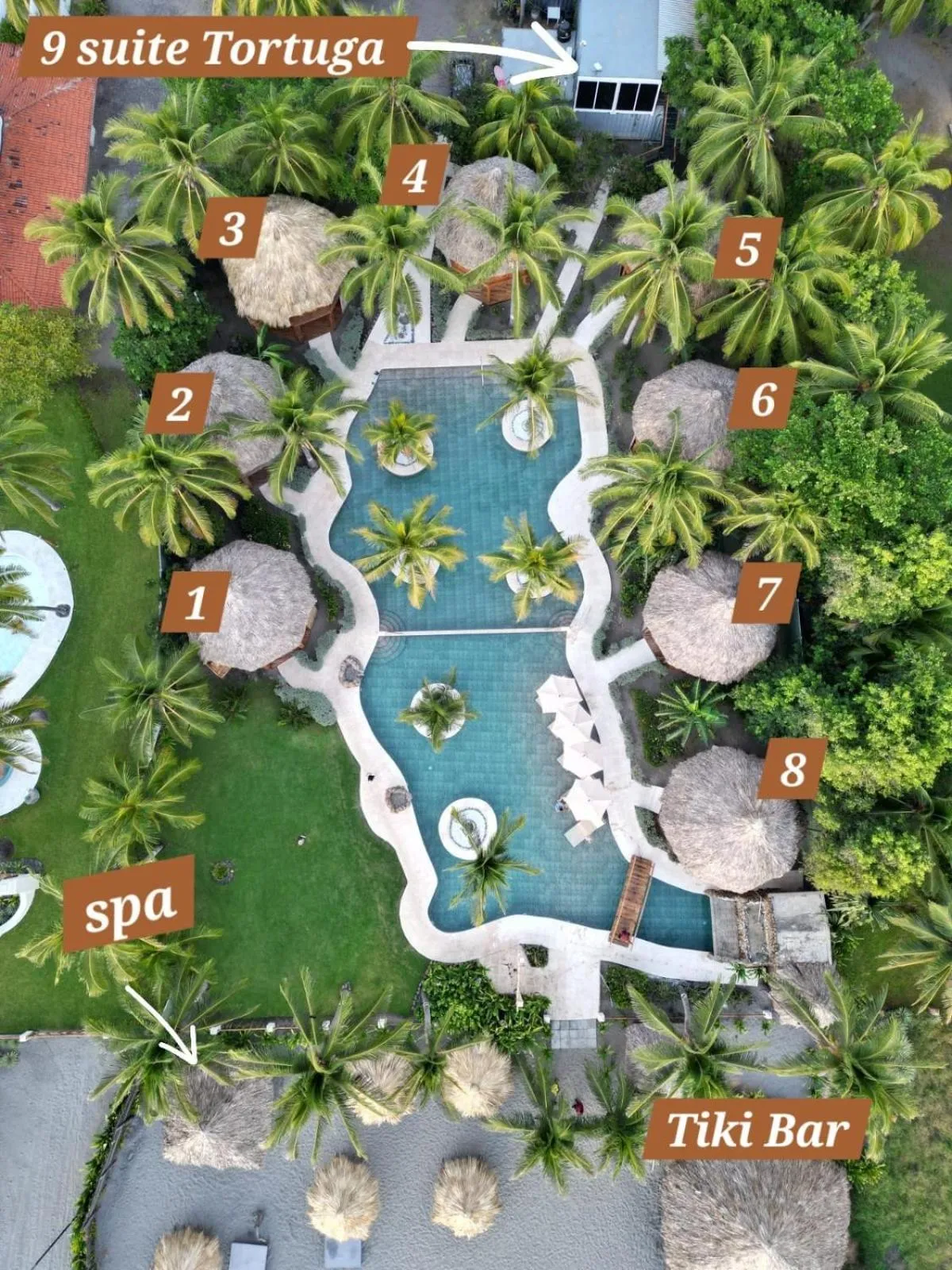 Garden view in Hotel Tortuga Village