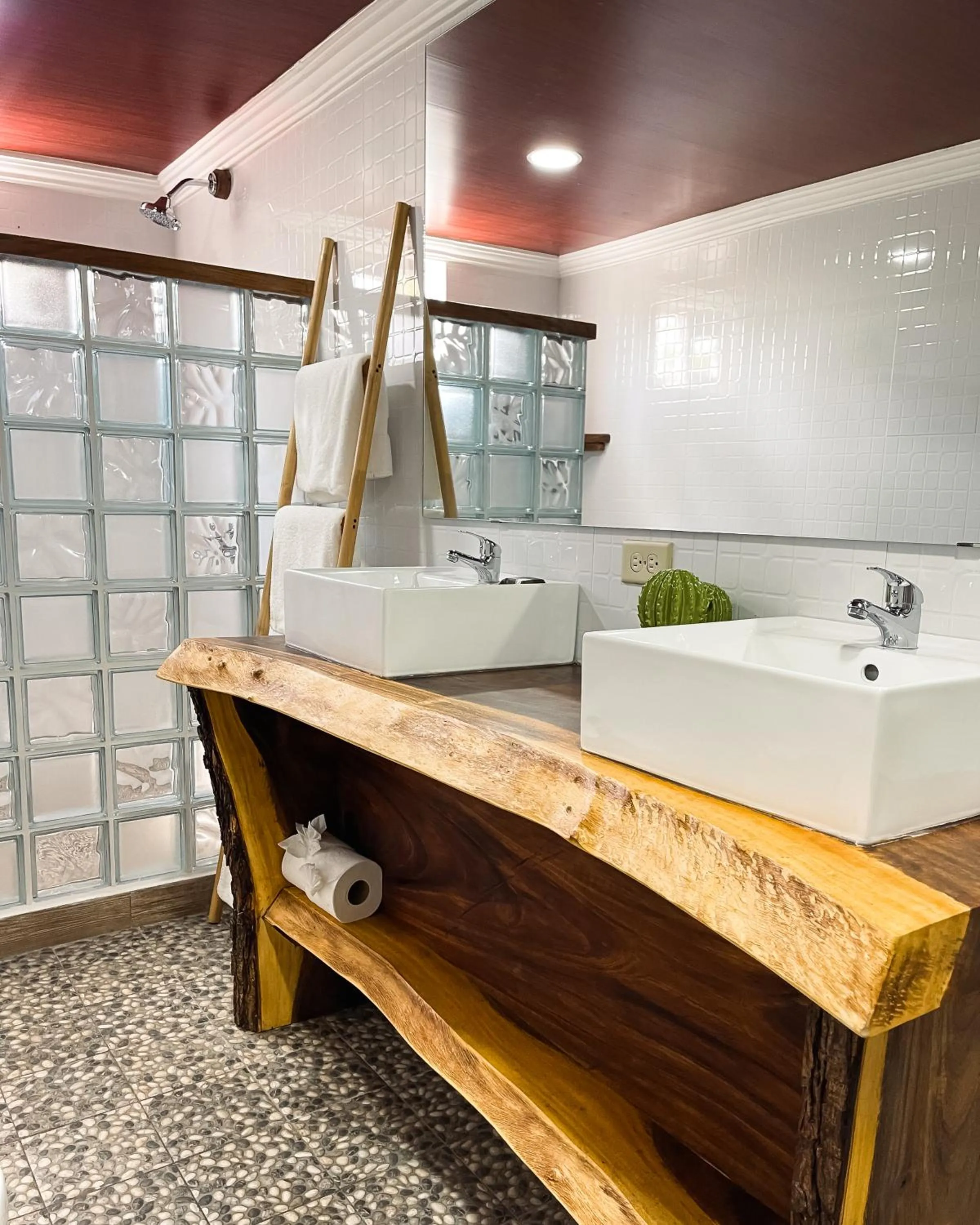 Bathroom in Hotel Tortuga Village