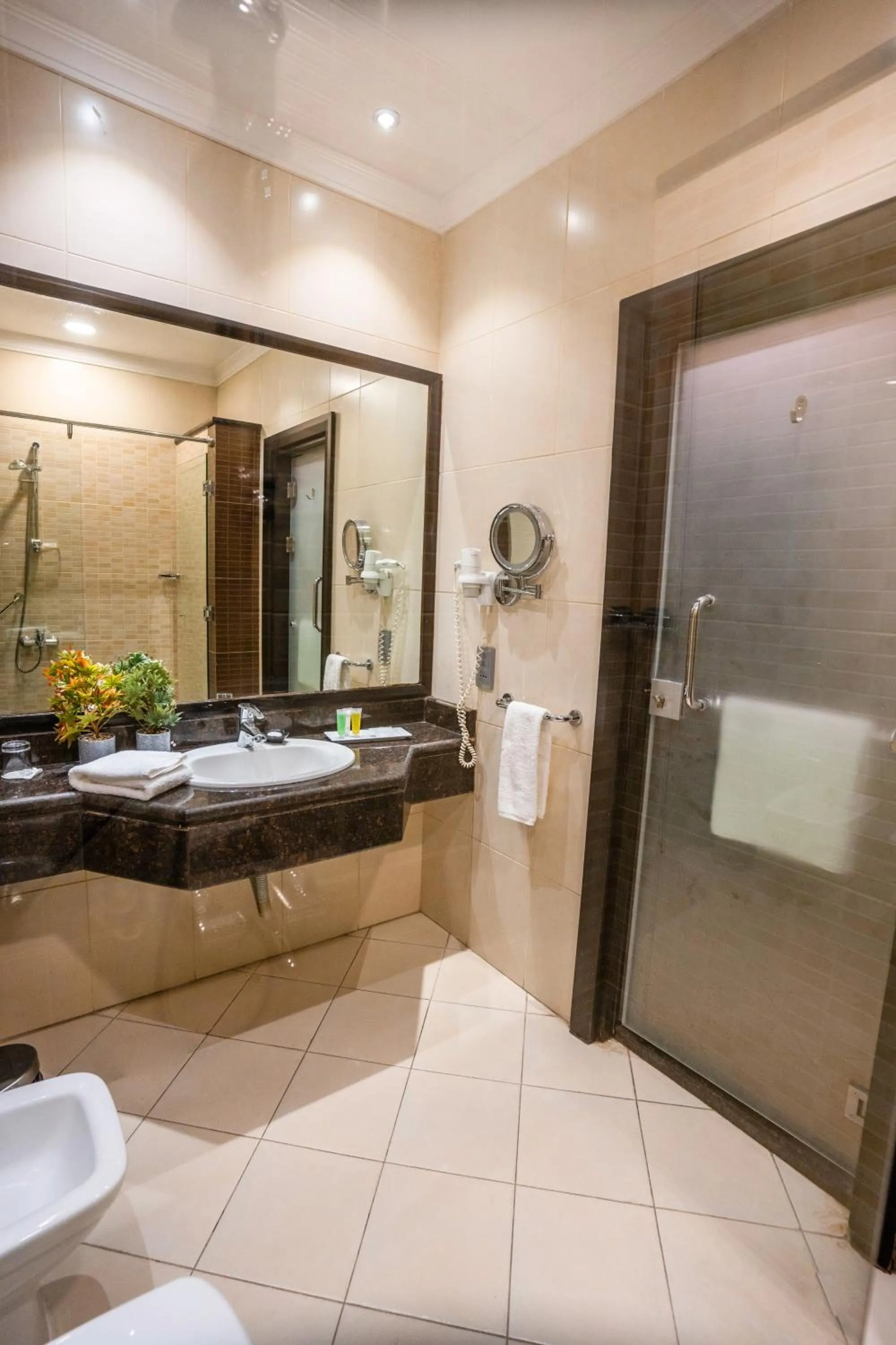 Toilet in Ayass Hotel