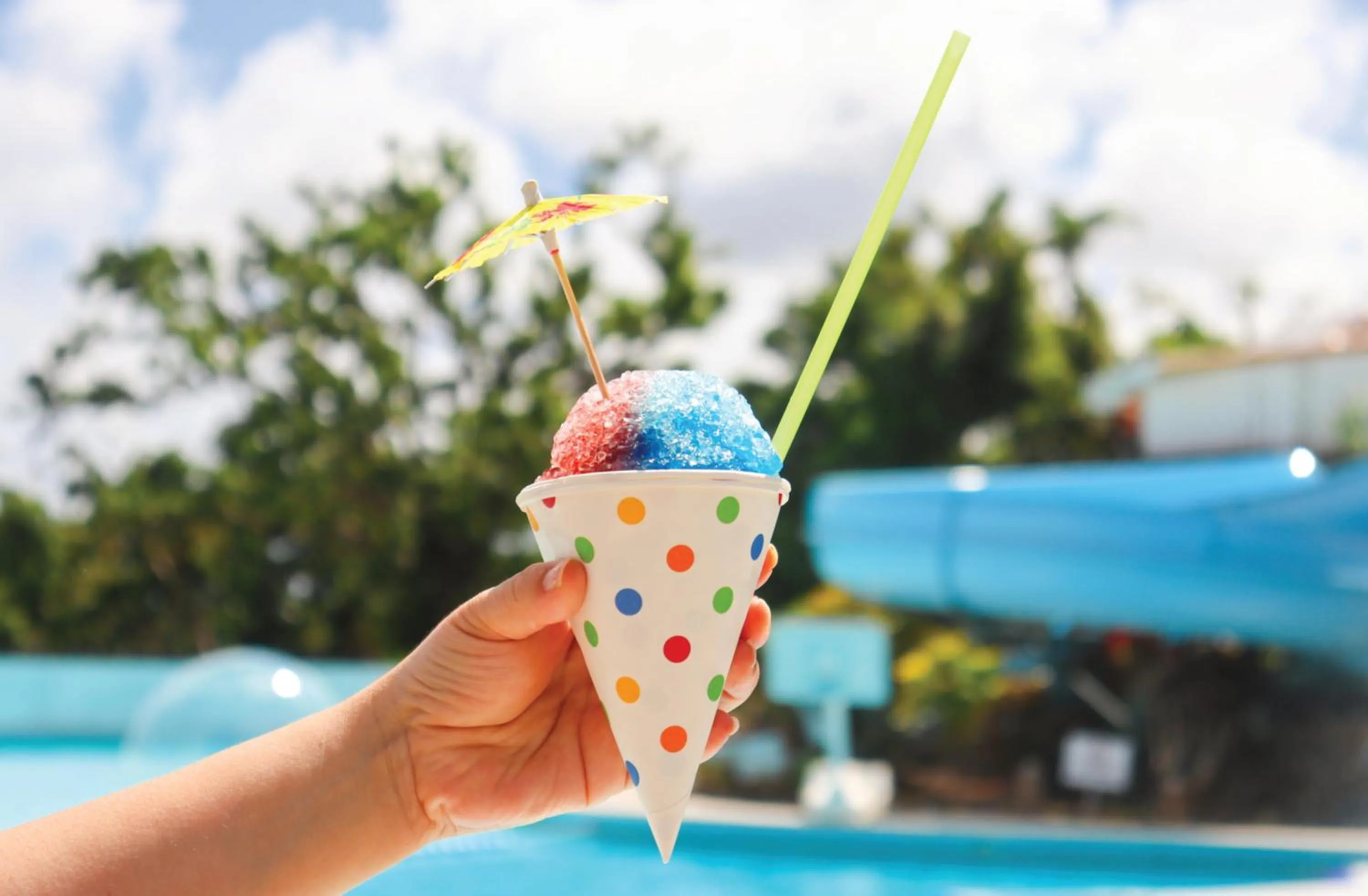Food close-up in RIHGA Royal Laguna Guam Resort