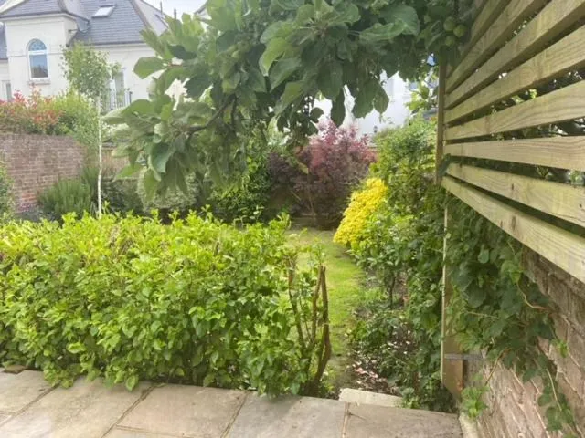 Garden in The Studio