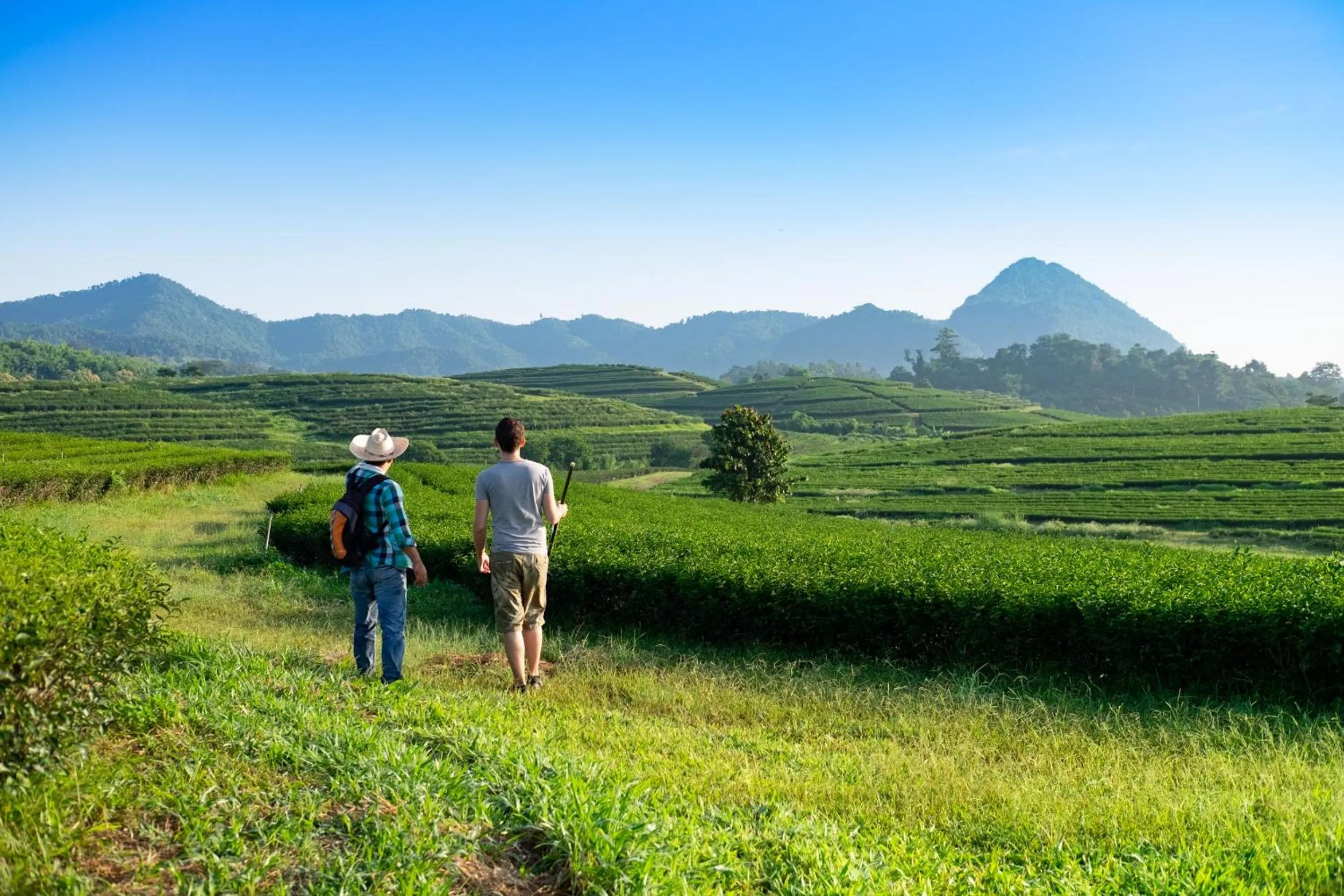 Hiking in Pa Sak Tong