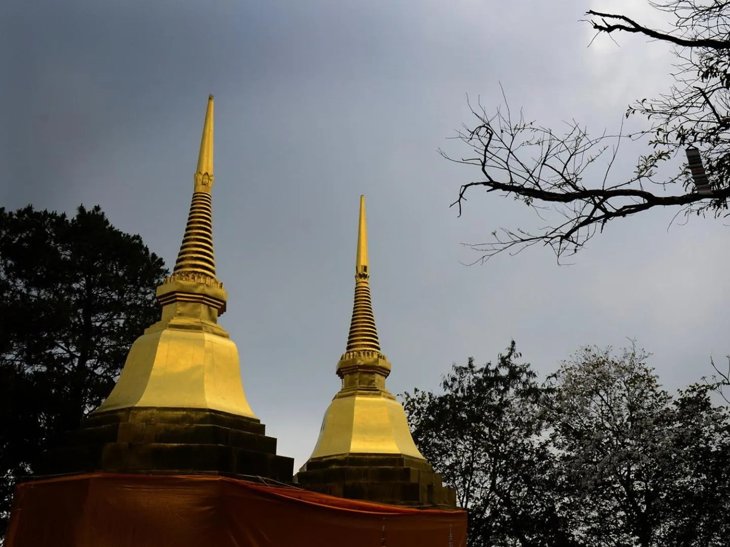 Other in Pa Sak Tong