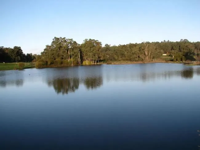 Lake view in Lakeview Lodge