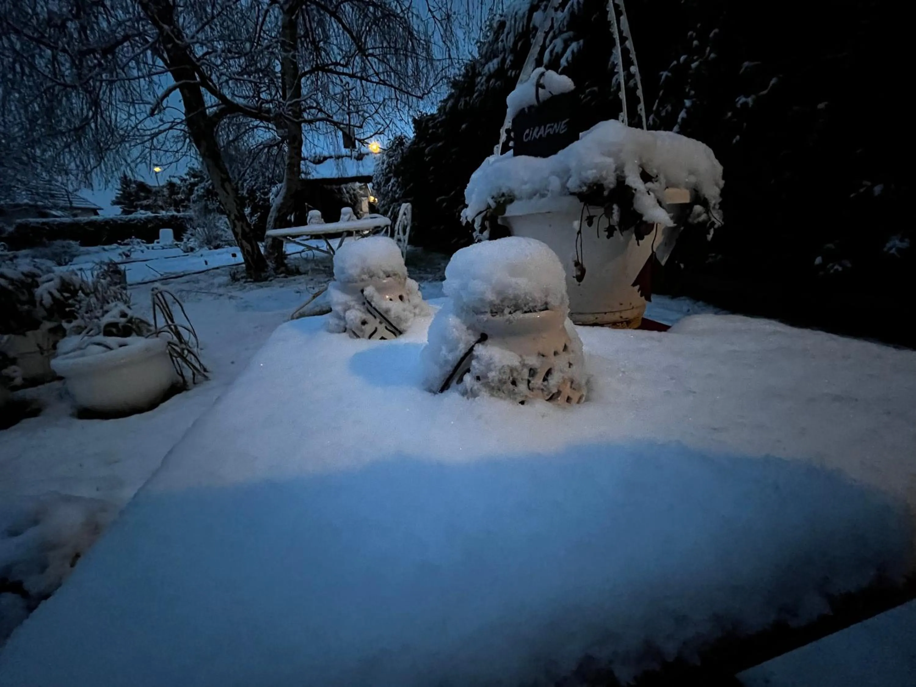 Garden in La Romance et la Romanesque