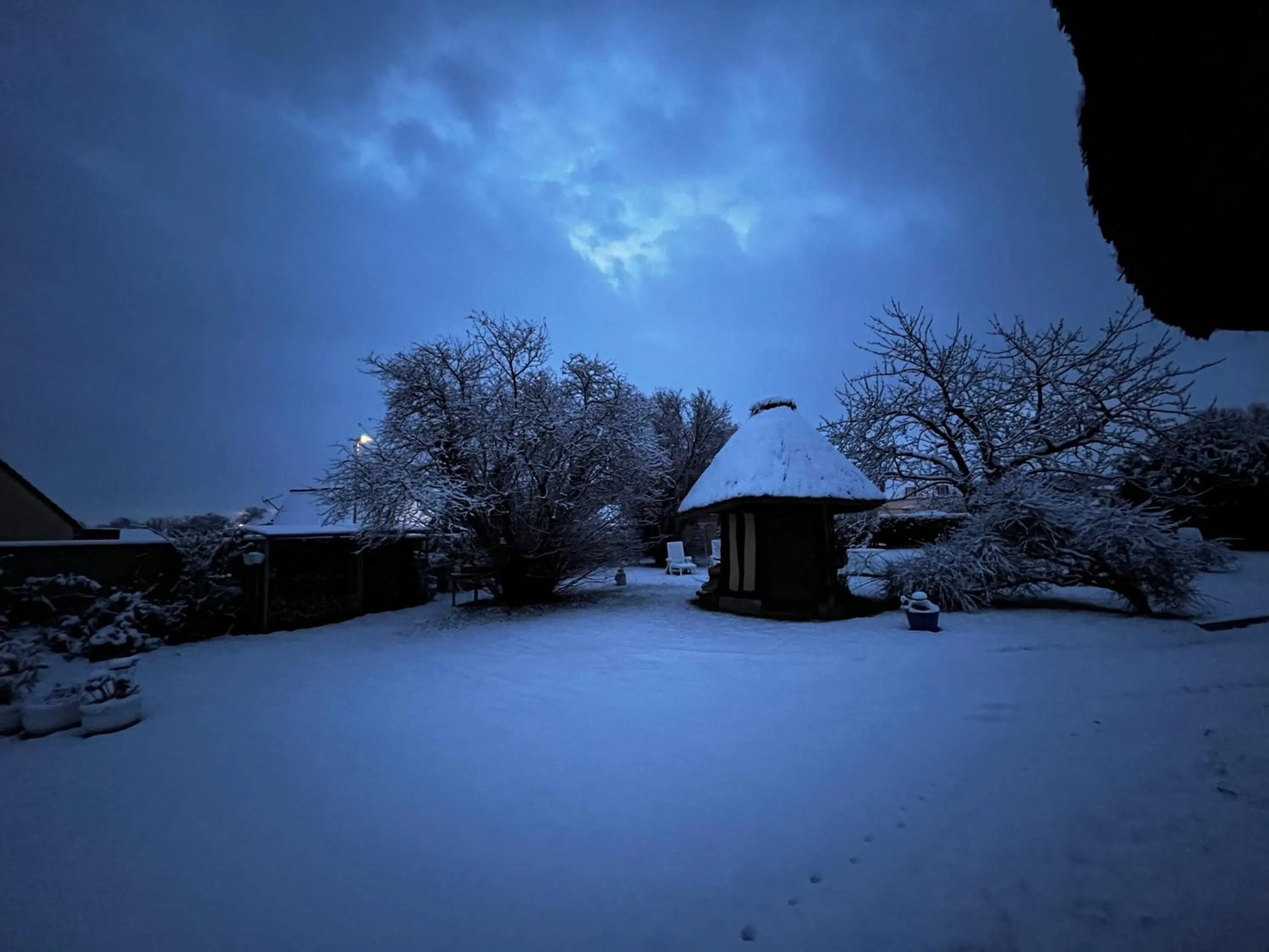 Garden in La Romance et la Romanesque