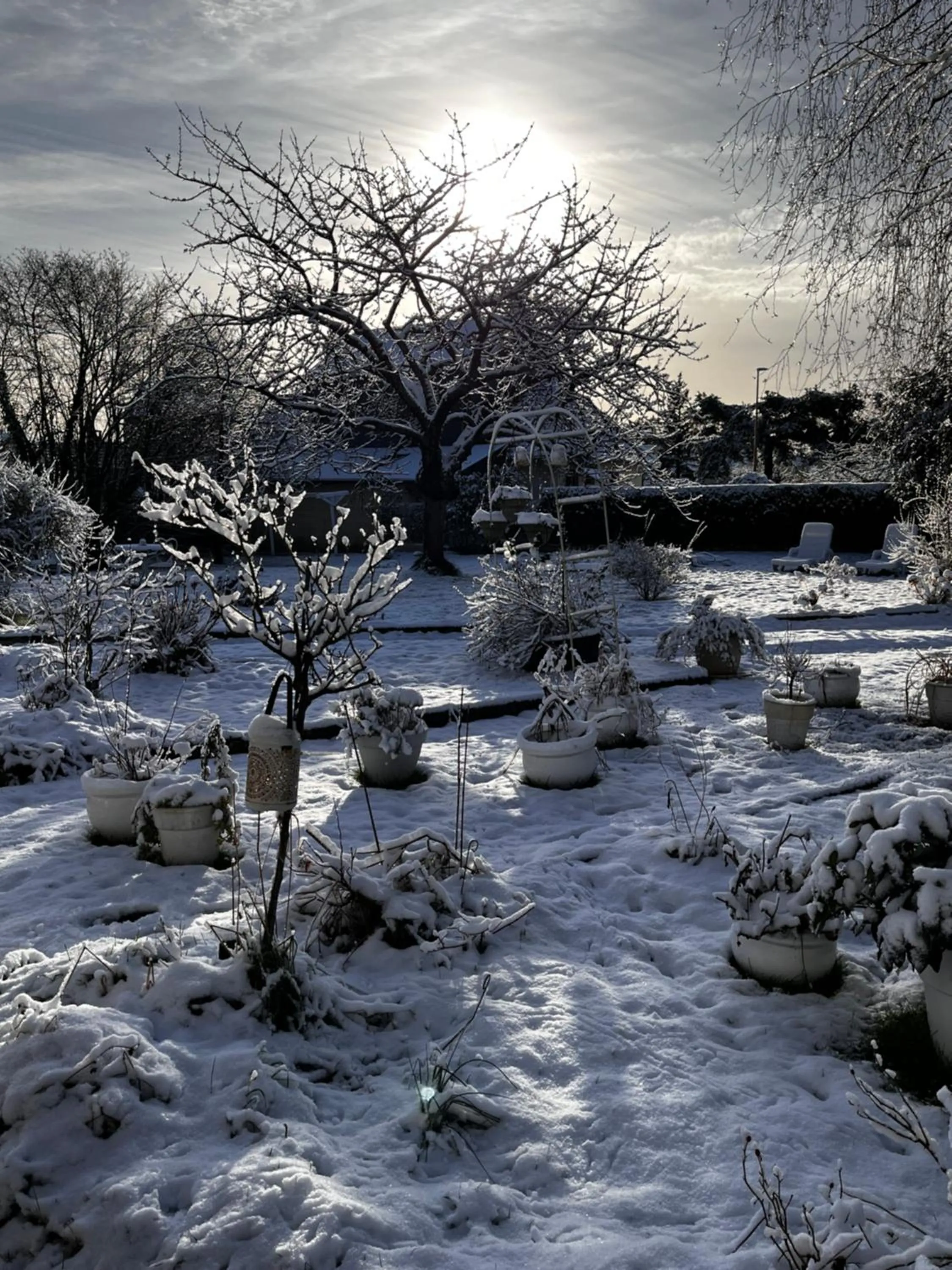 Garden in La Romance et la Romanesque