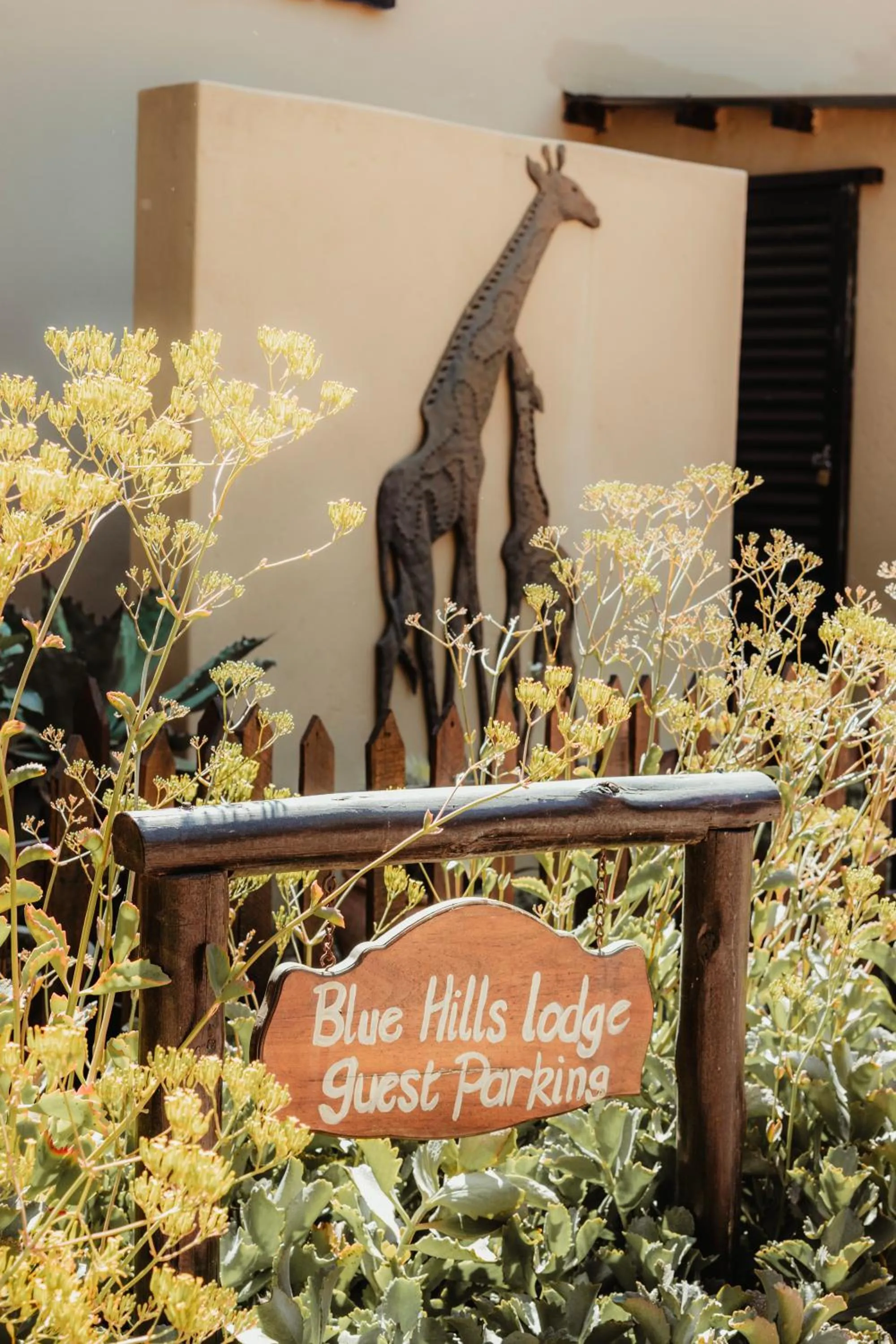 Property building in Blue Hills Lodge