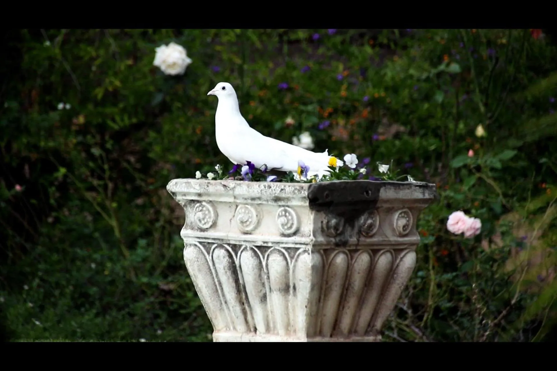 Garden in Blue Hills Lodge