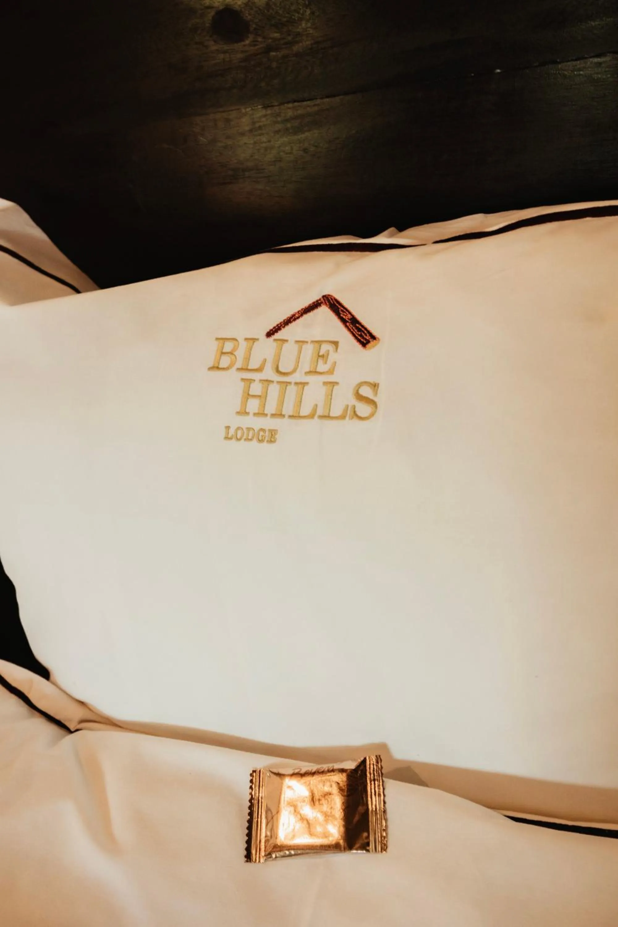 Property logo or sign in Blue Hills Lodge