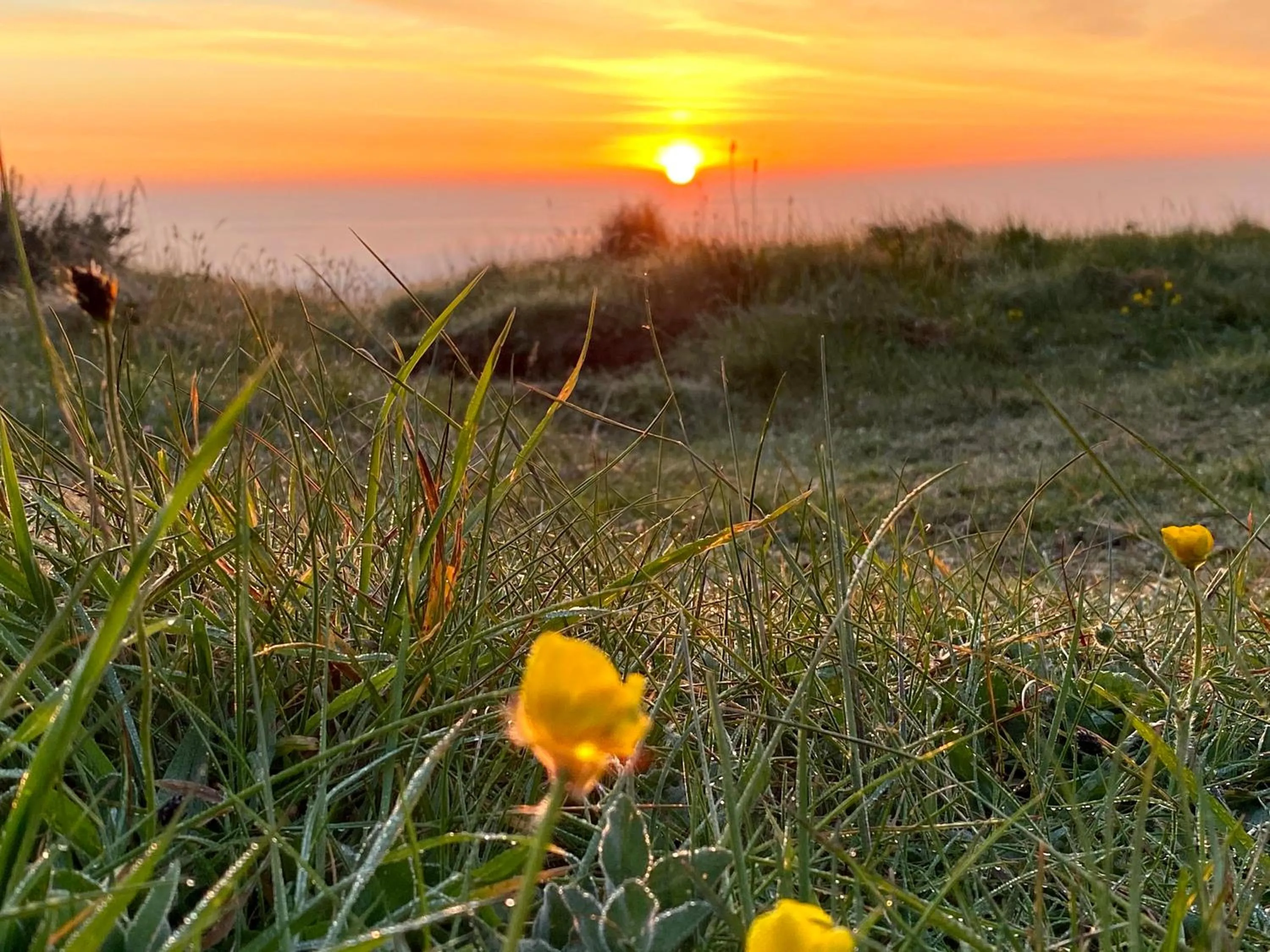 Natural landscape in McMunns of Ballybunion