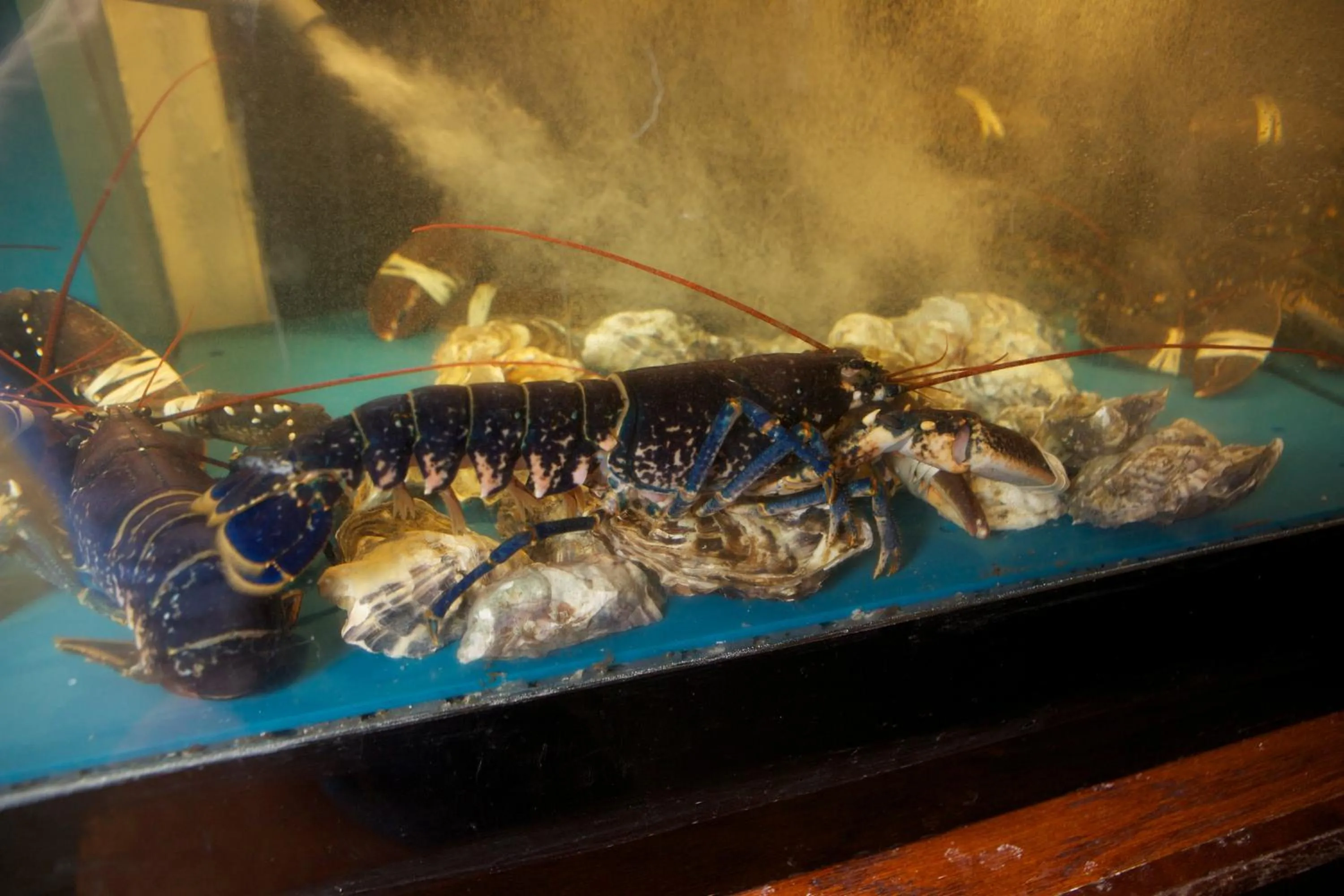 Food in McMunns of Ballybunion