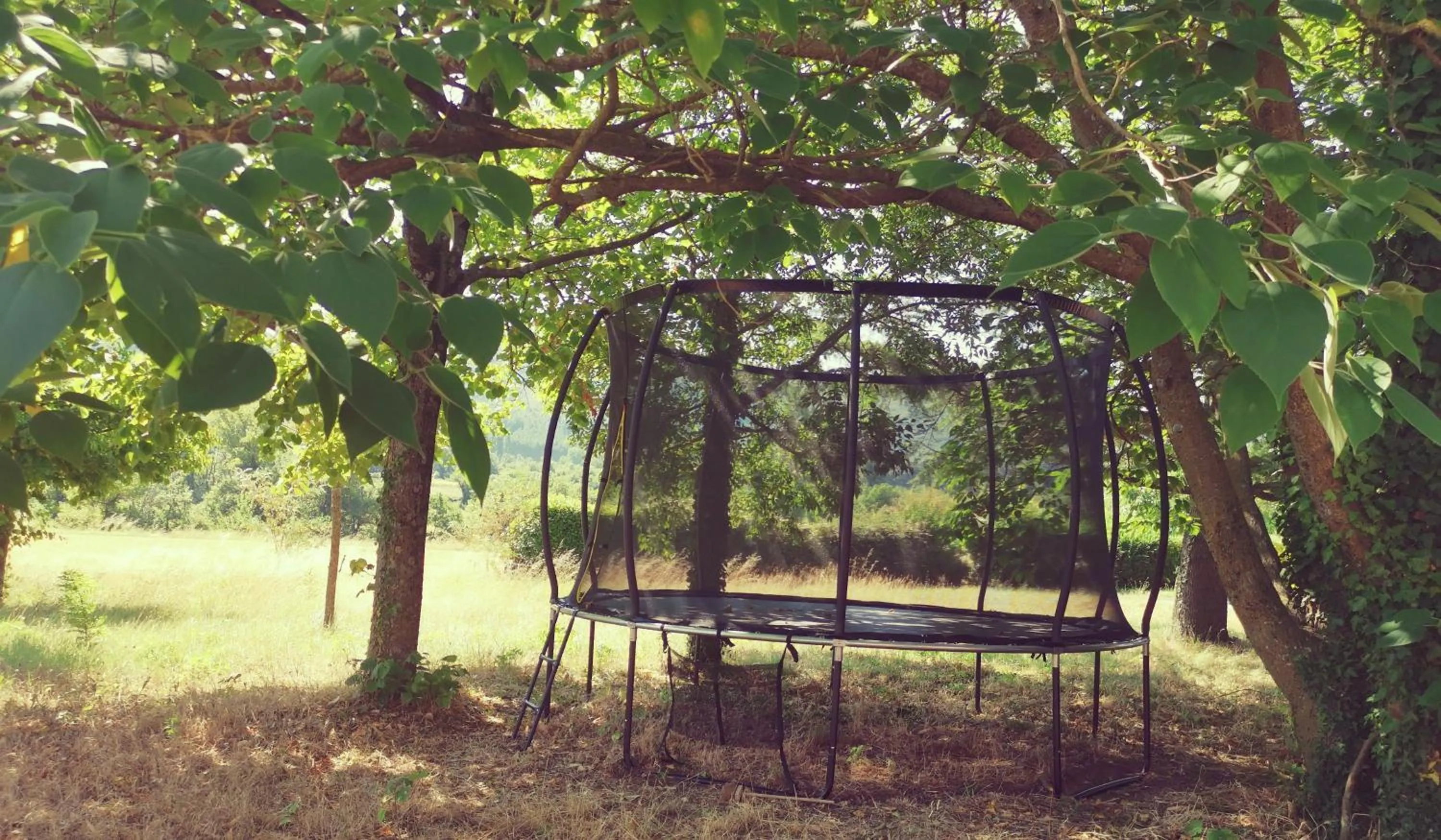Garden in Hôtel Rose des Vents