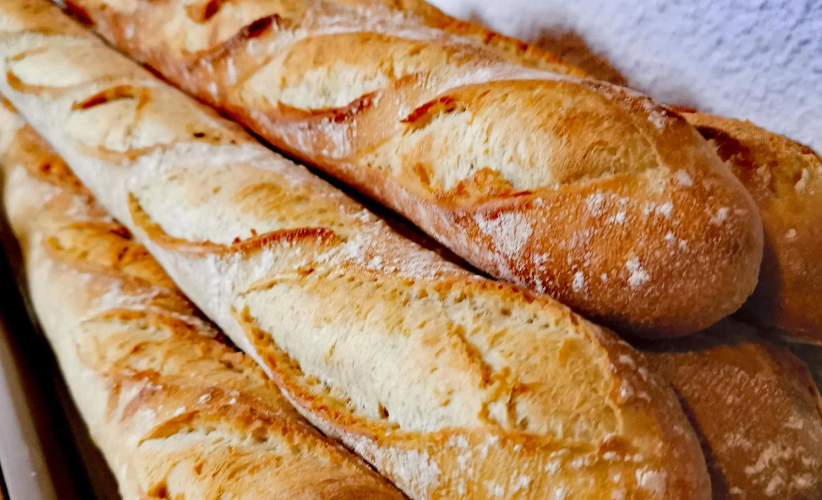 Restaurant/places to eat in Hôtel Rose des Vents