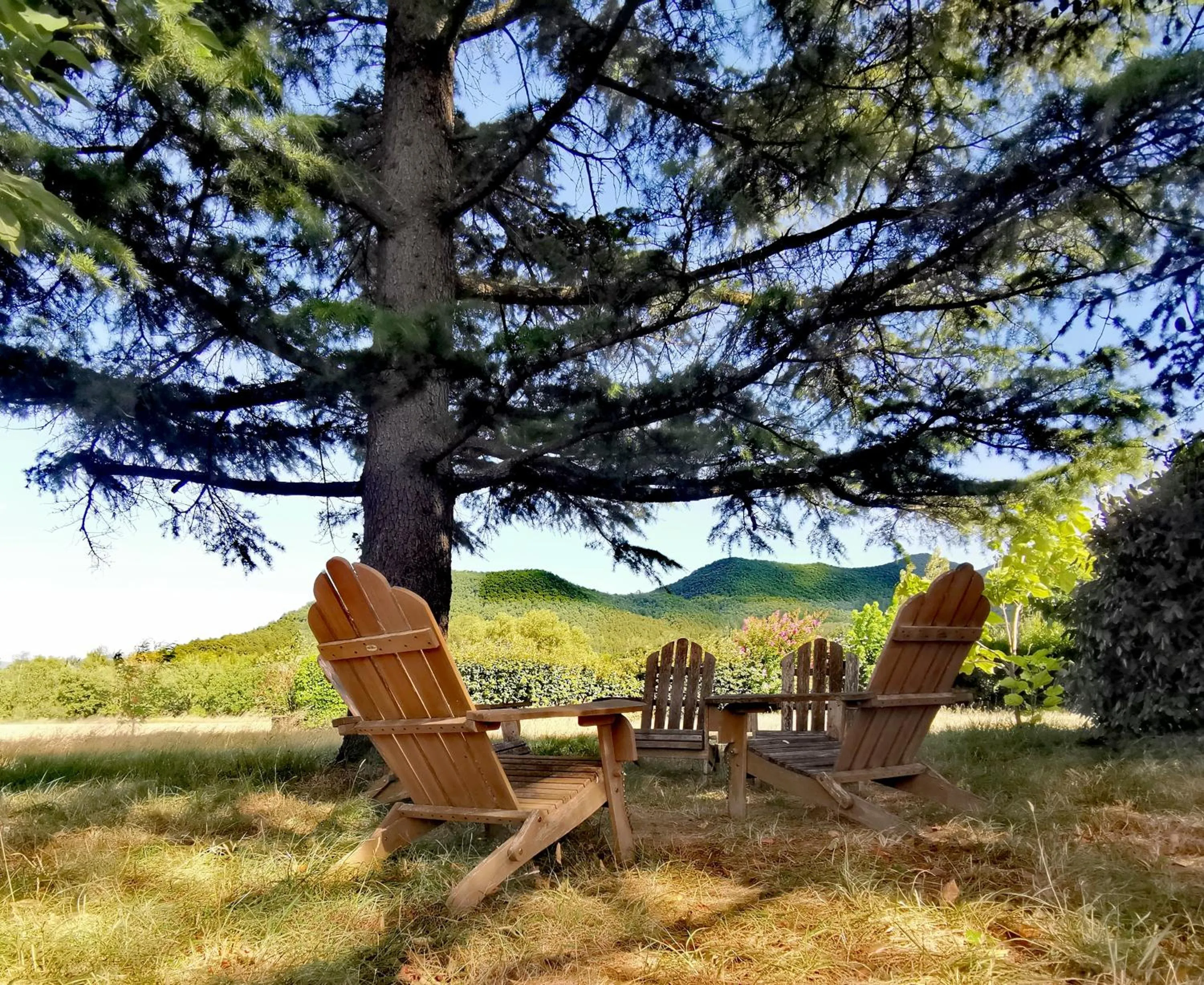 Garden in Hôtel Rose des Vents