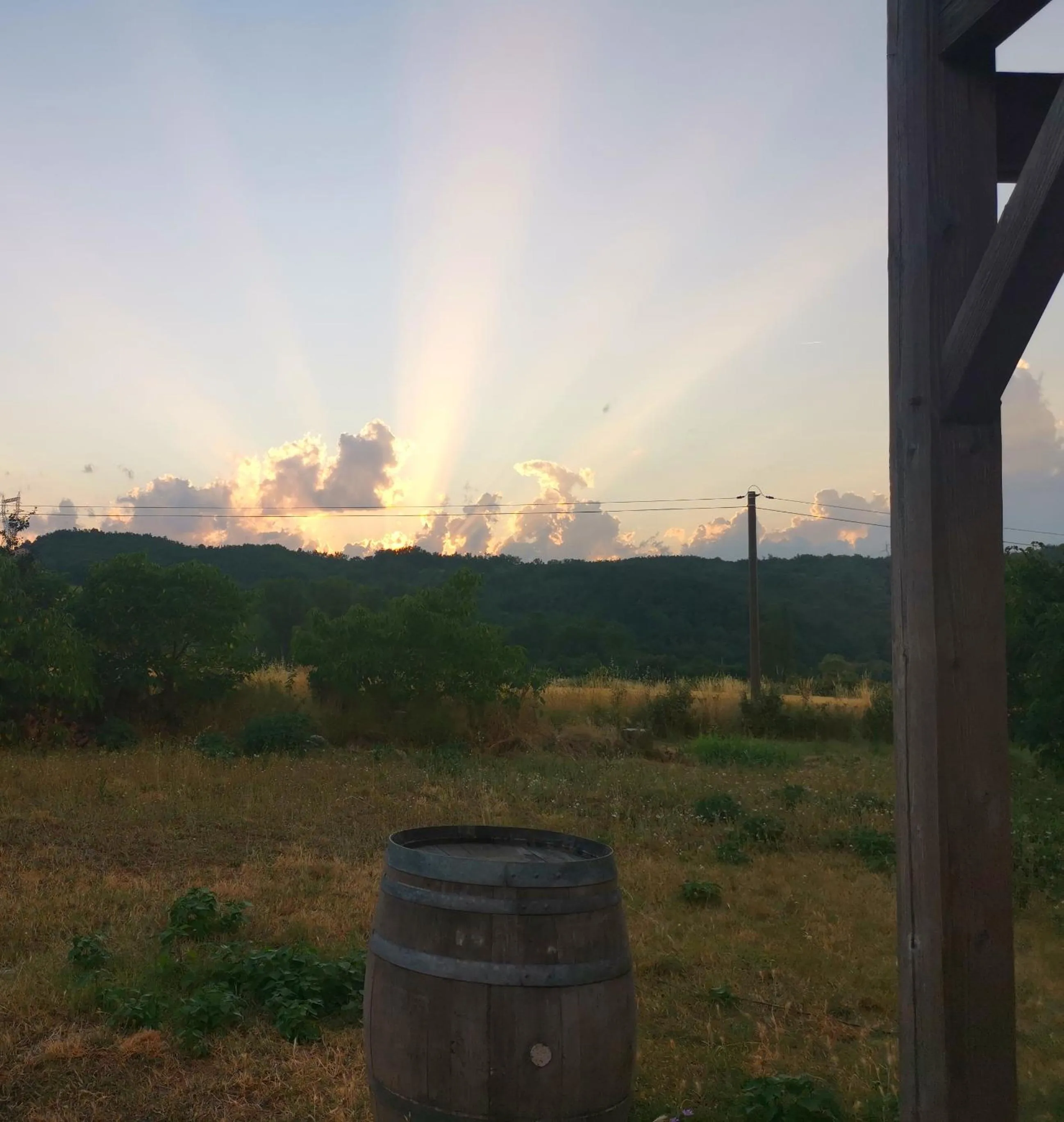 Garden in Hôtel Rose des Vents