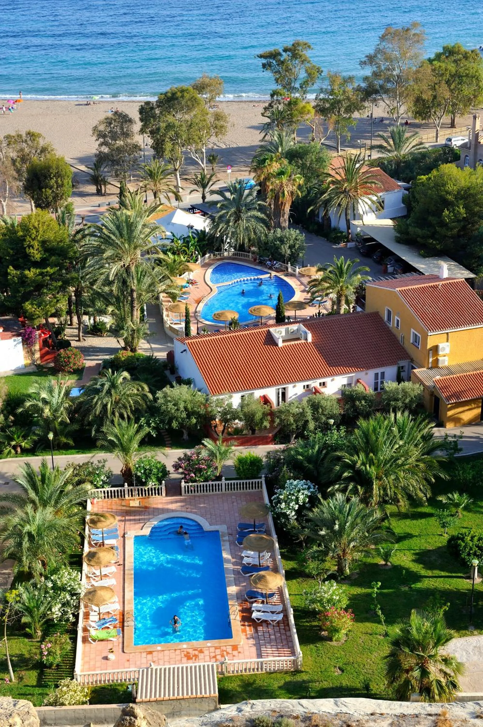 Pool view in Apartamentos Oasis de las Palmeras
