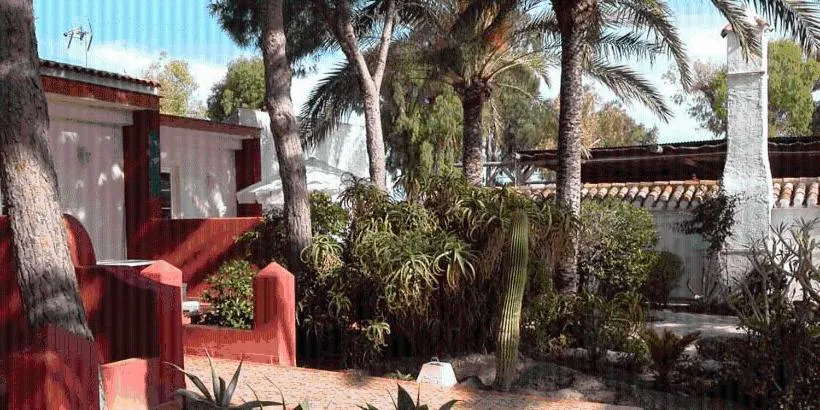 Garden in Apartamentos Oasis de las Palmeras