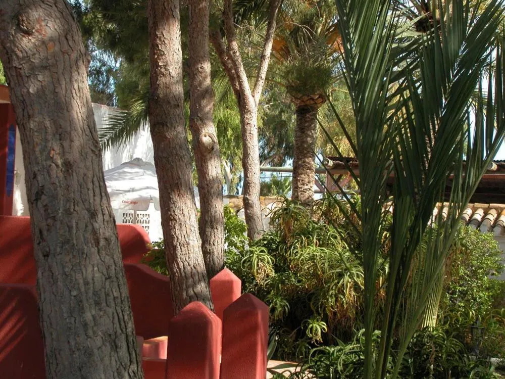 Garden in Apartamentos Oasis de las Palmeras