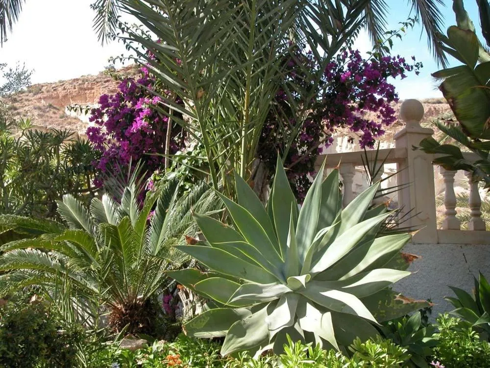 Garden in Apartamentos Oasis de las Palmeras