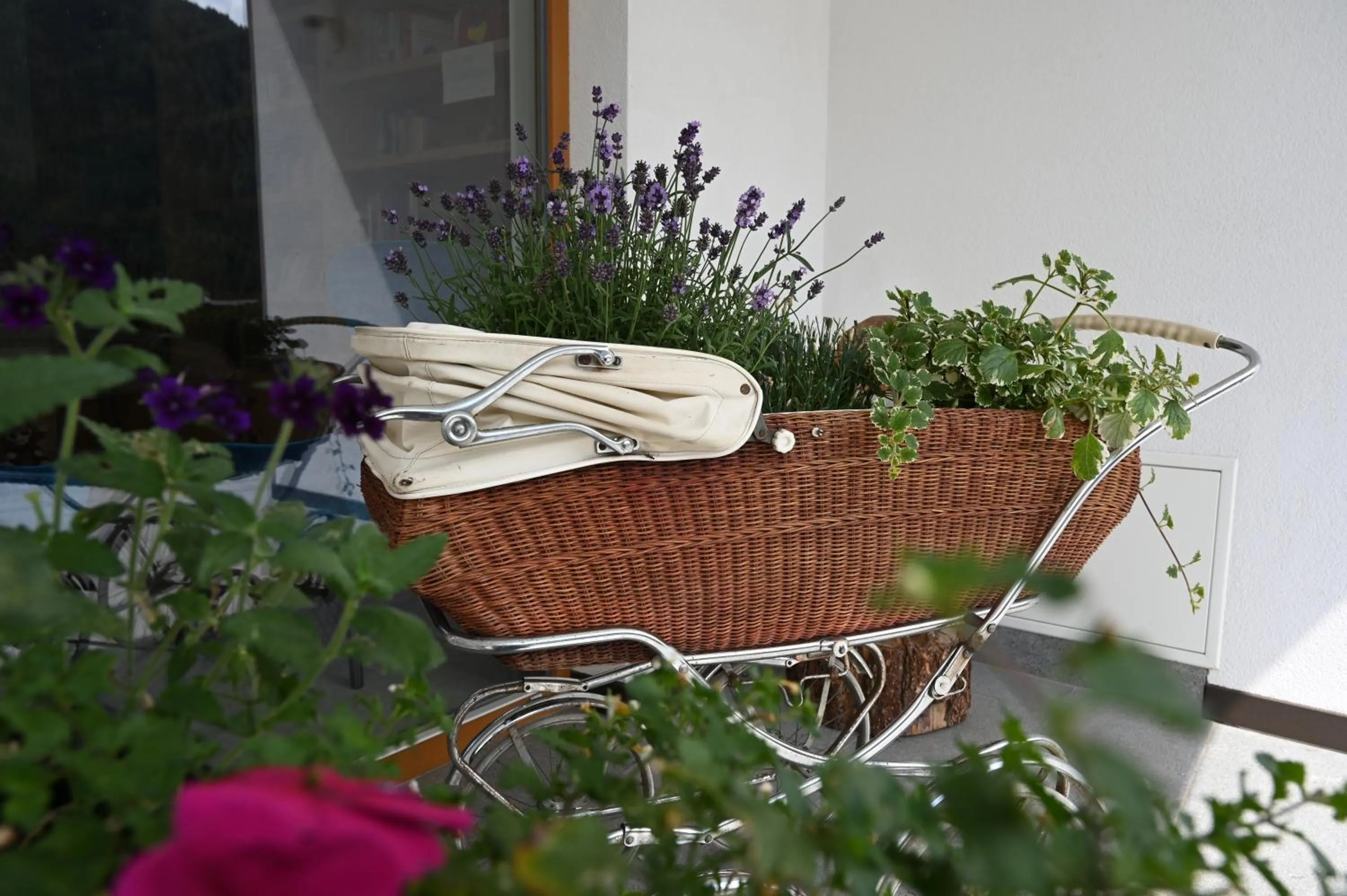 Other in Naturhotel Haller