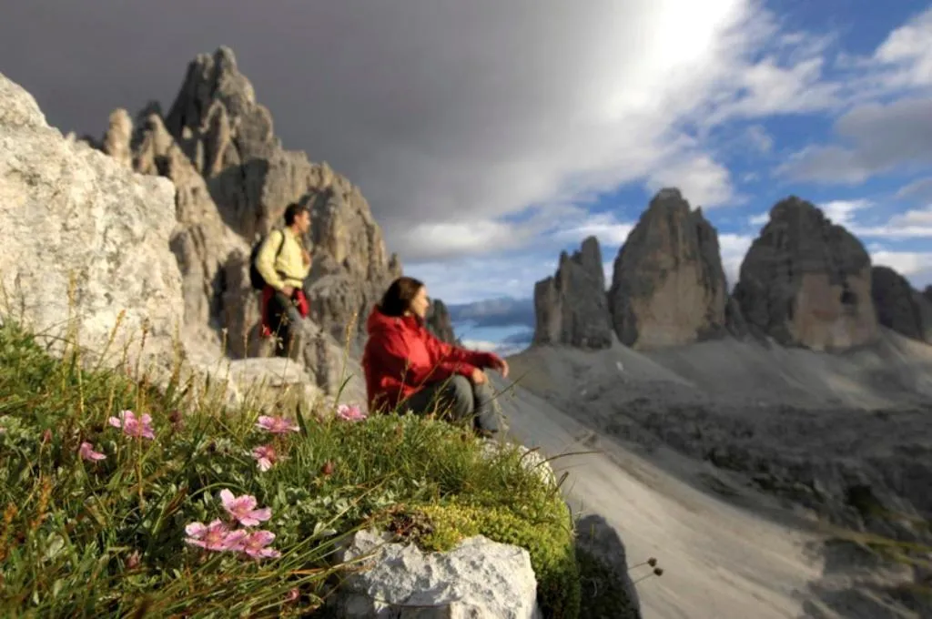 Hiking in Wirtshaushotel Alpenrose