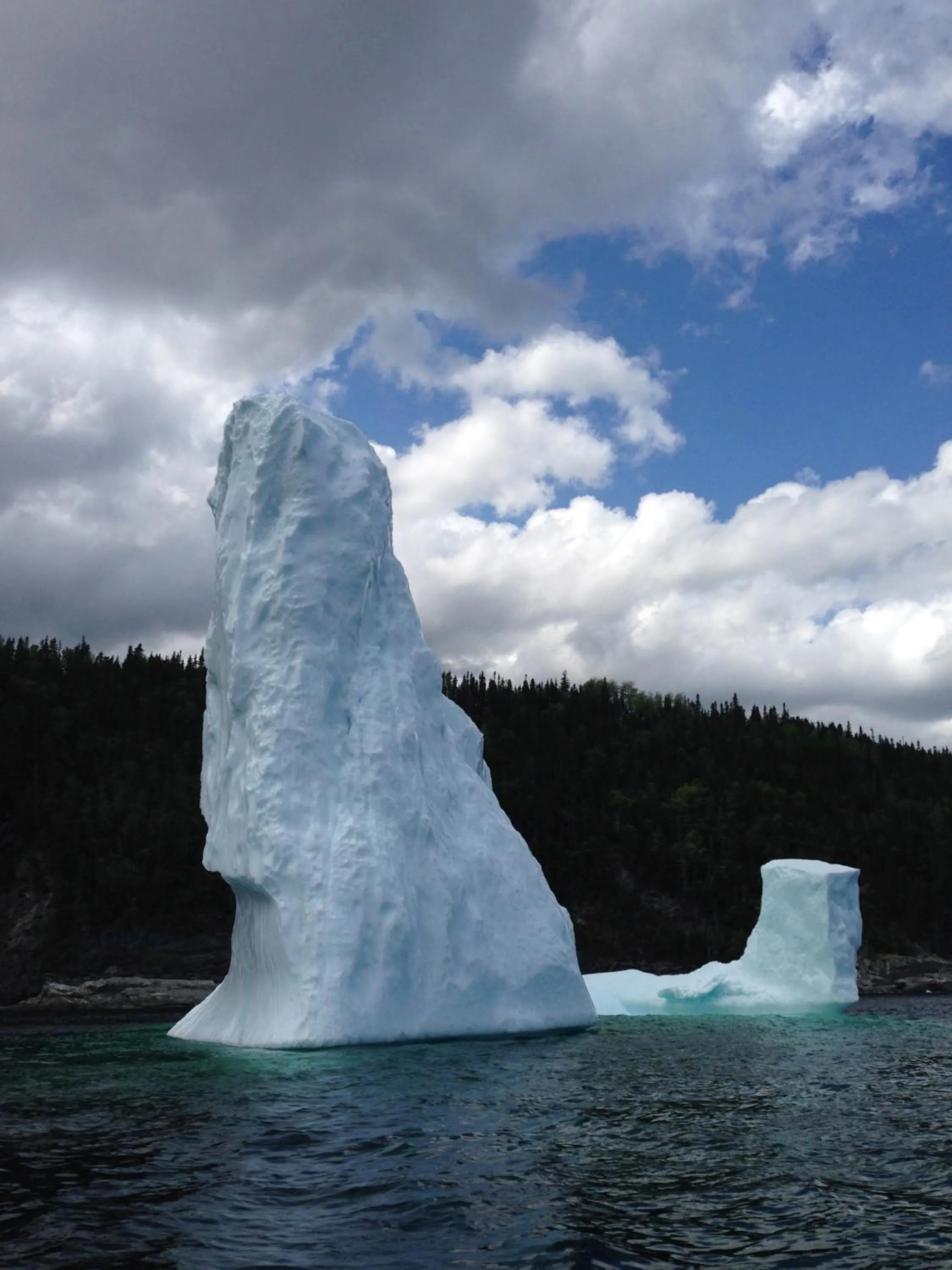 Raleigh Rooms & Taylor's Crafts