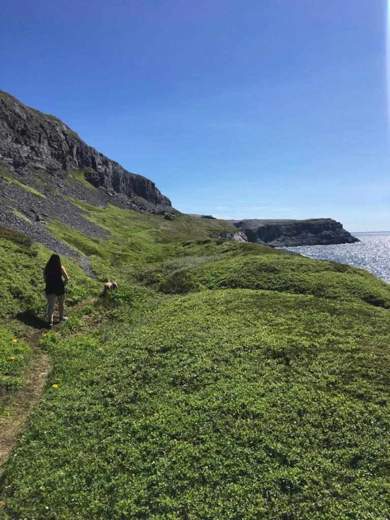 Nearby landmark in Raleigh Rooms & Taylor's Crafts