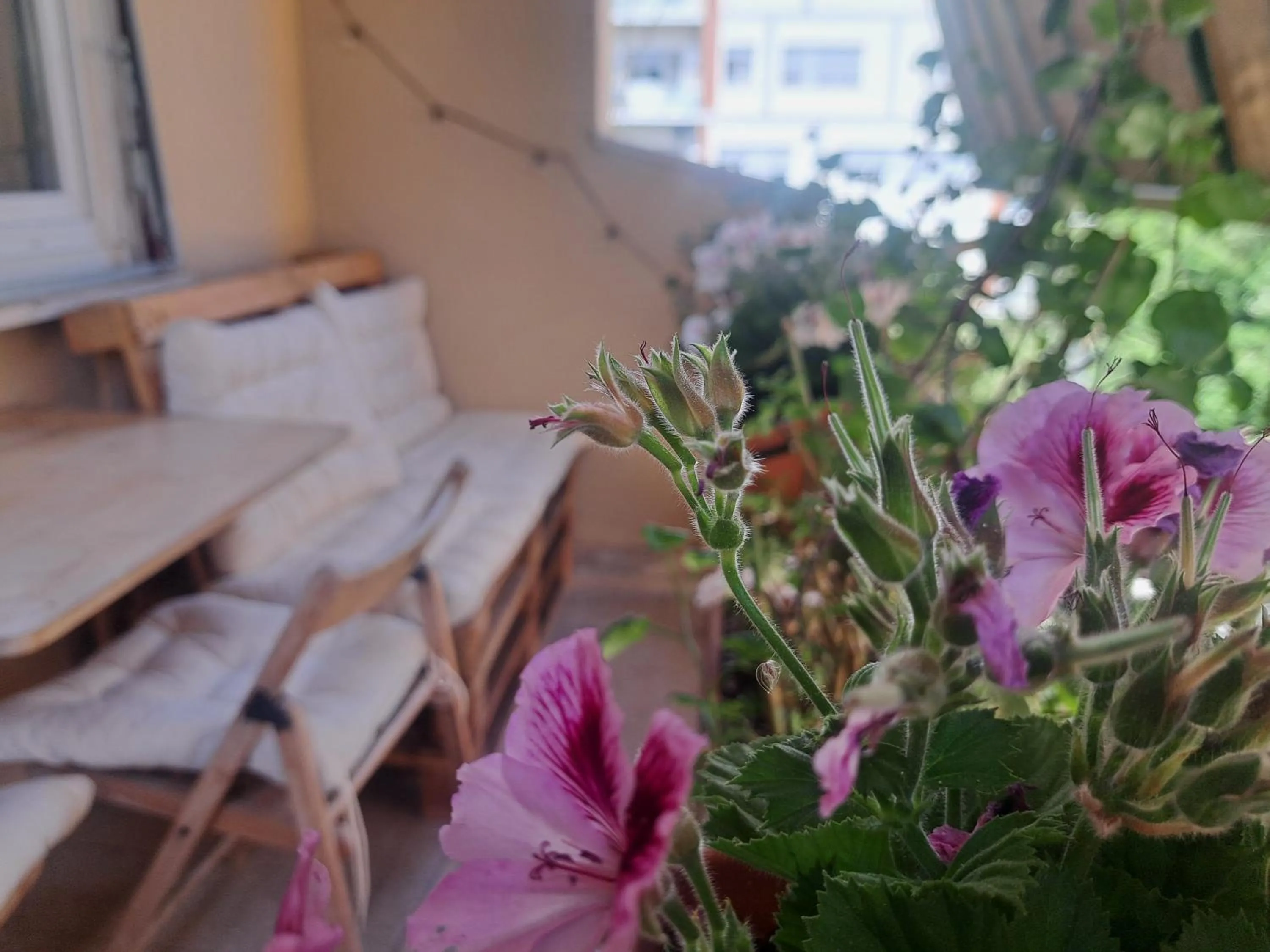 Balcony/Terrace in Eco B&B Marela