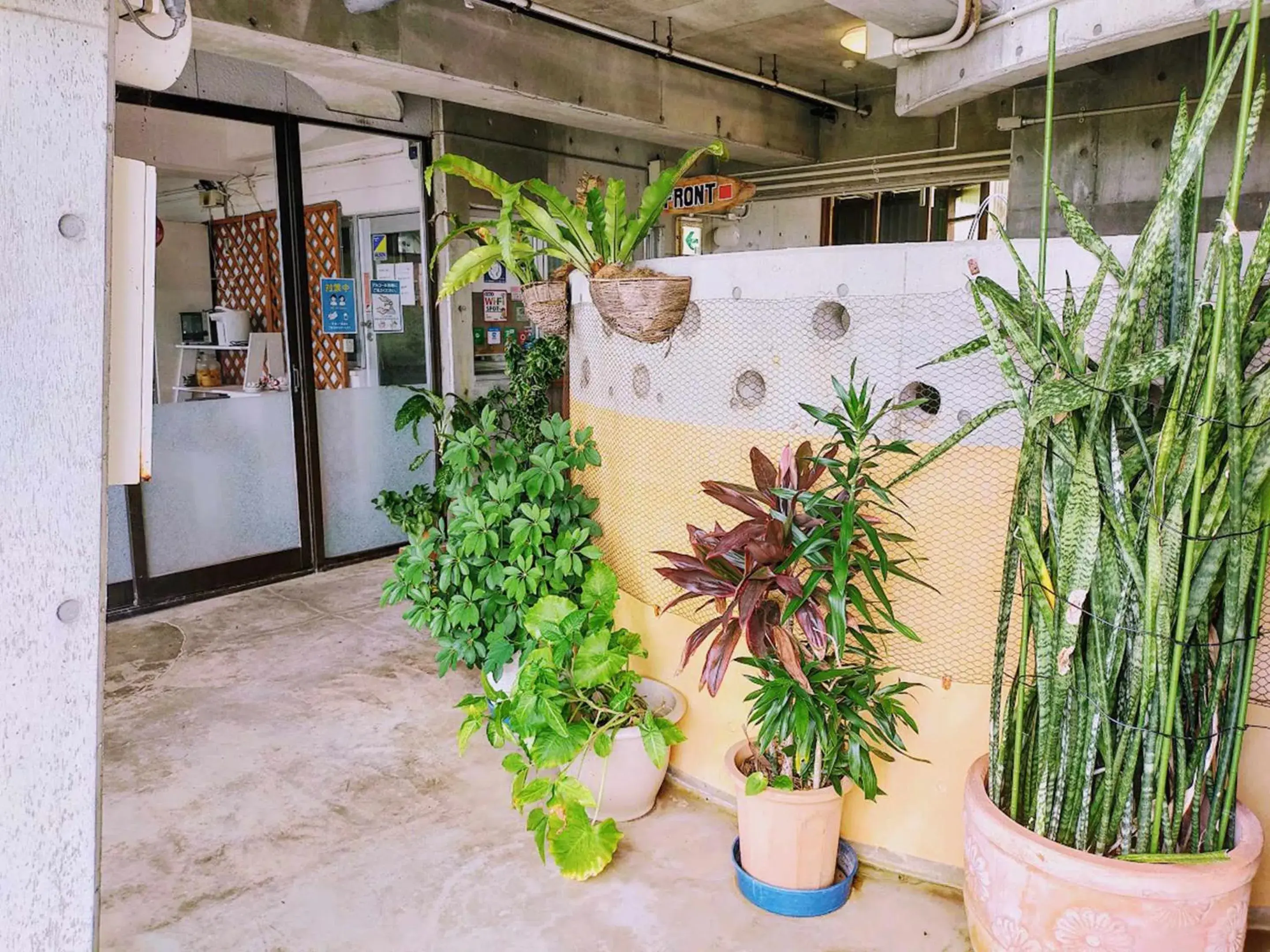 Lobby or reception in Buzz Resort Lobby or reception in Buzz Resort