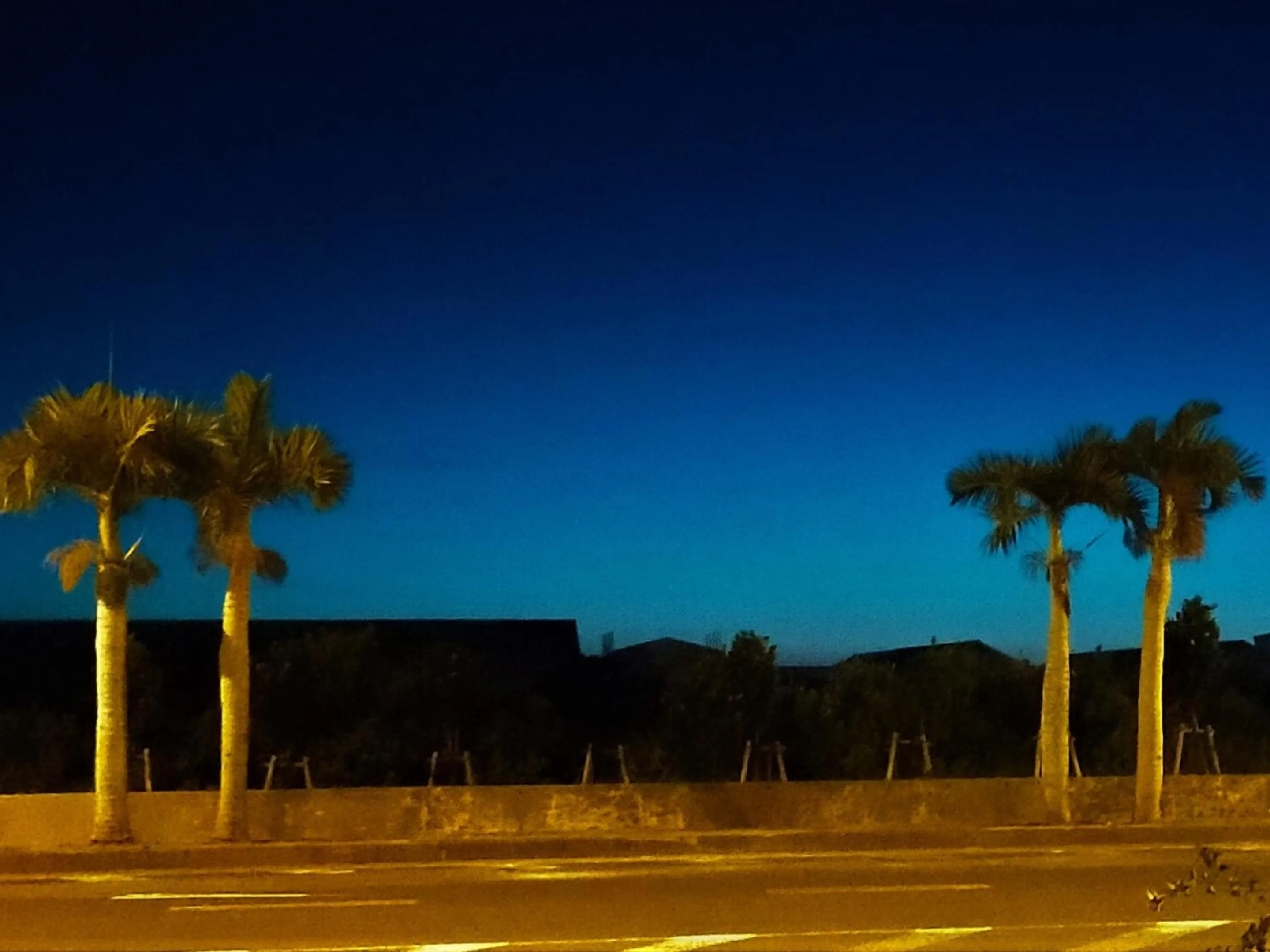 Off site in Buzz Resort