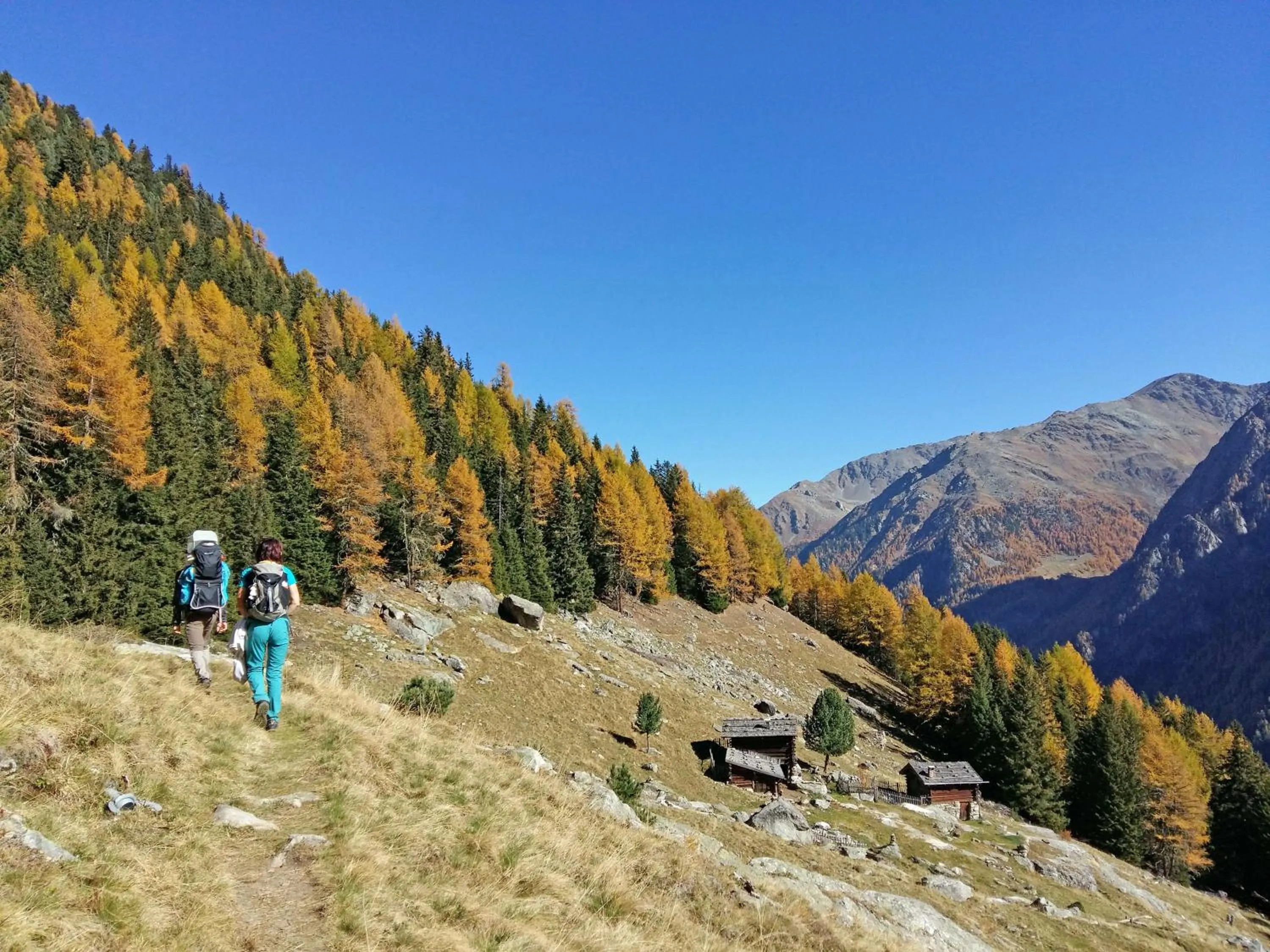 Natural landscape in Residence Sonneck