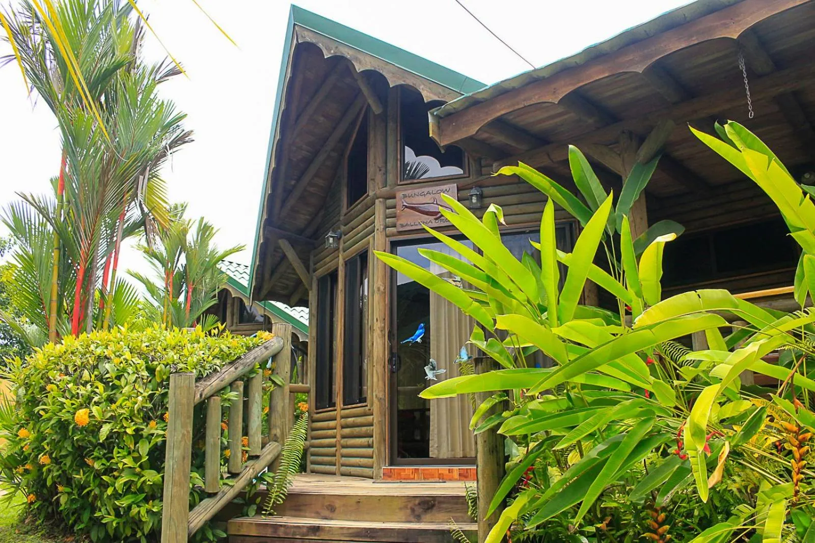 Balcony/Terrace in Bungalows Ballena
