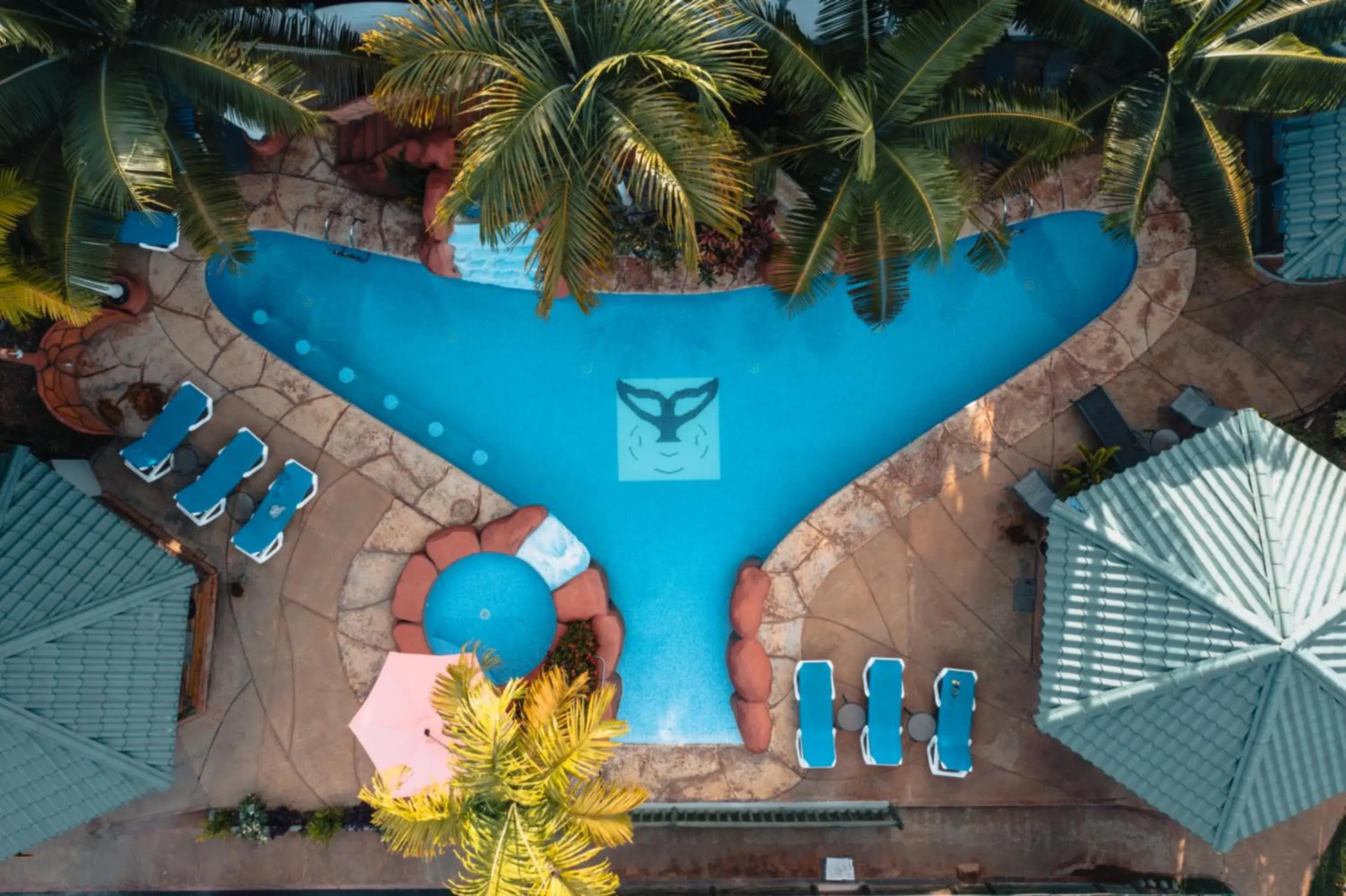 Bungalows Ballena Bungalows Ballena