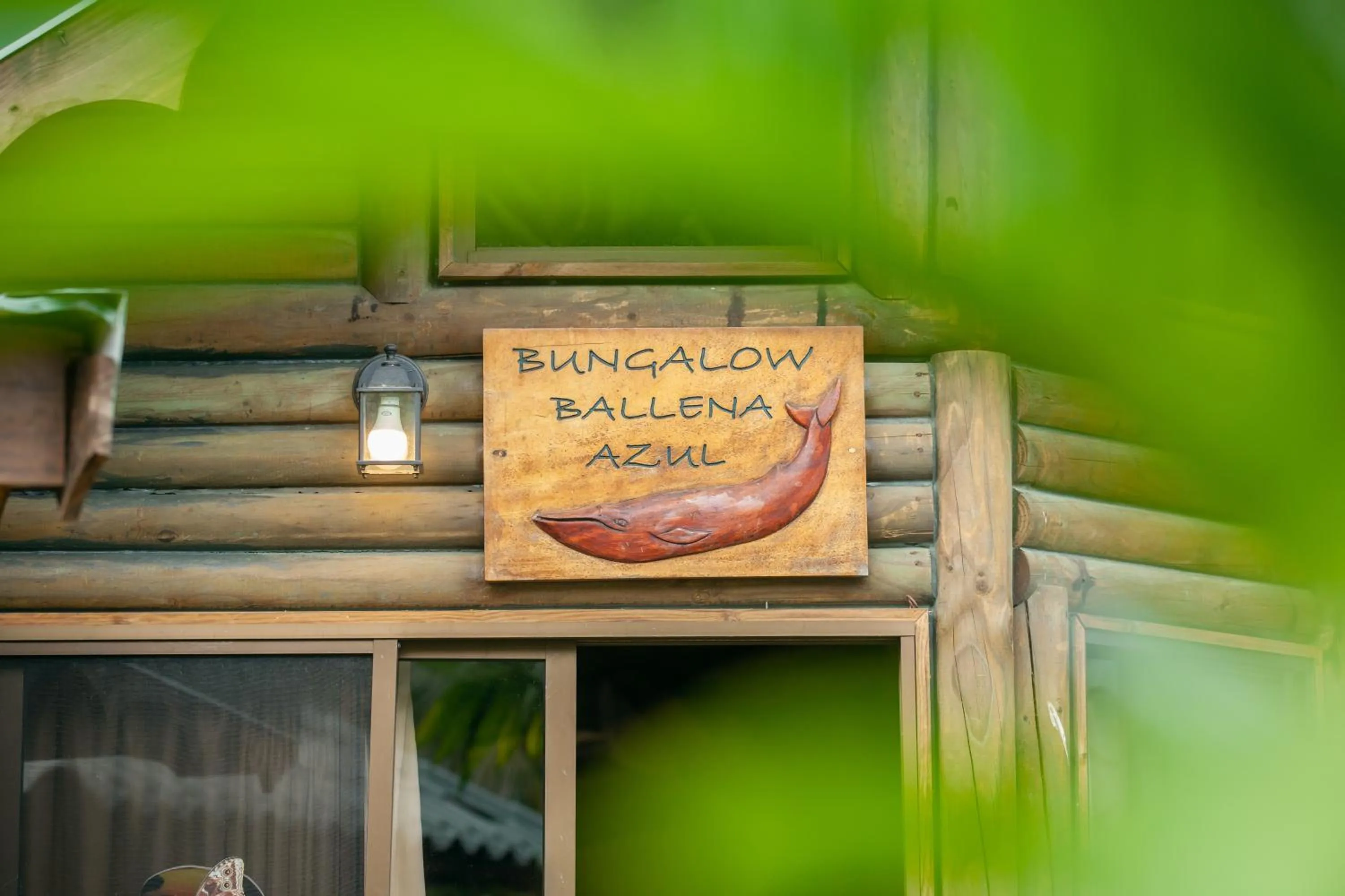 Facade/entrance in Bungalows Ballena