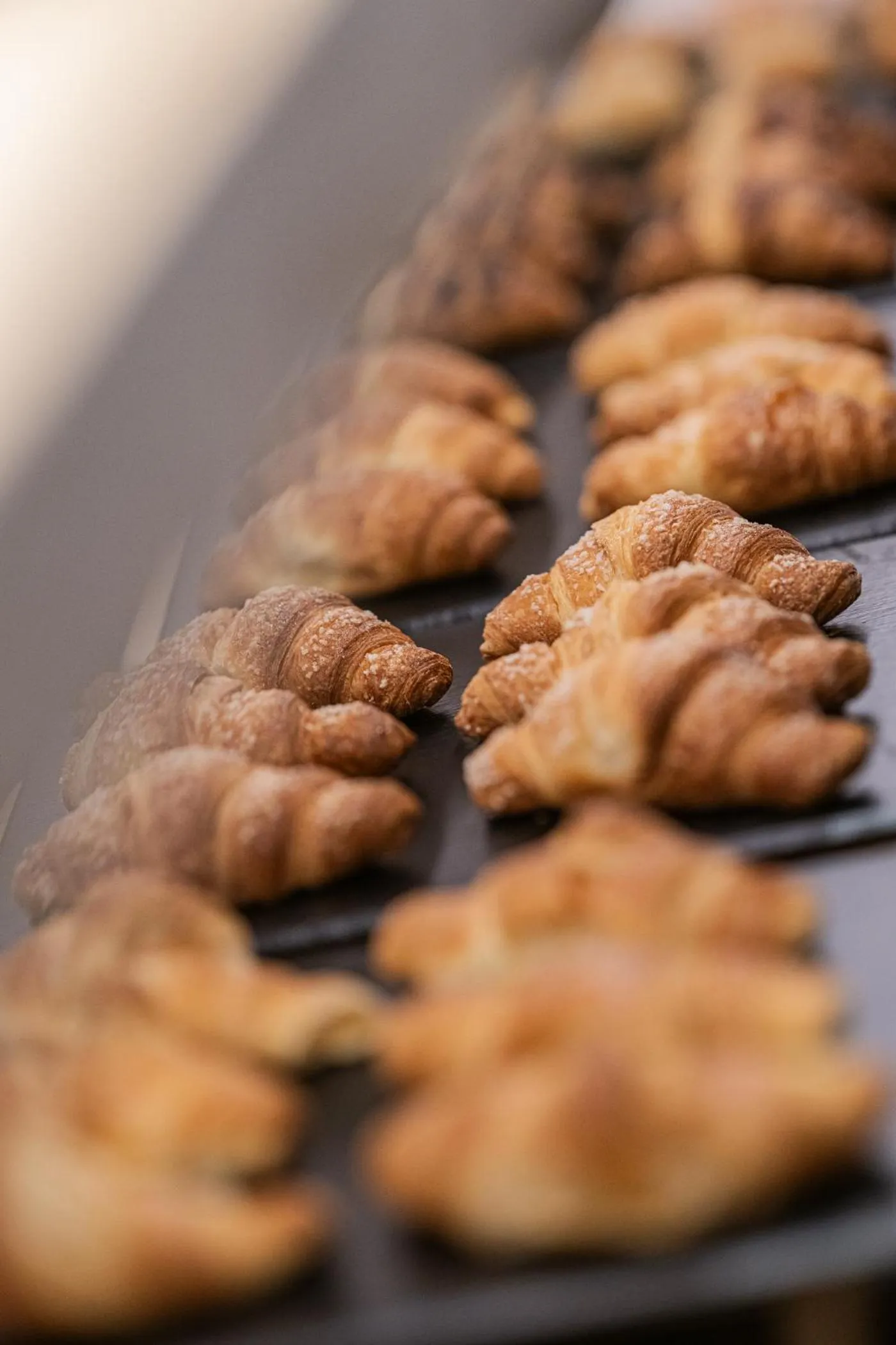 Breakfast in Hotel Anewandter