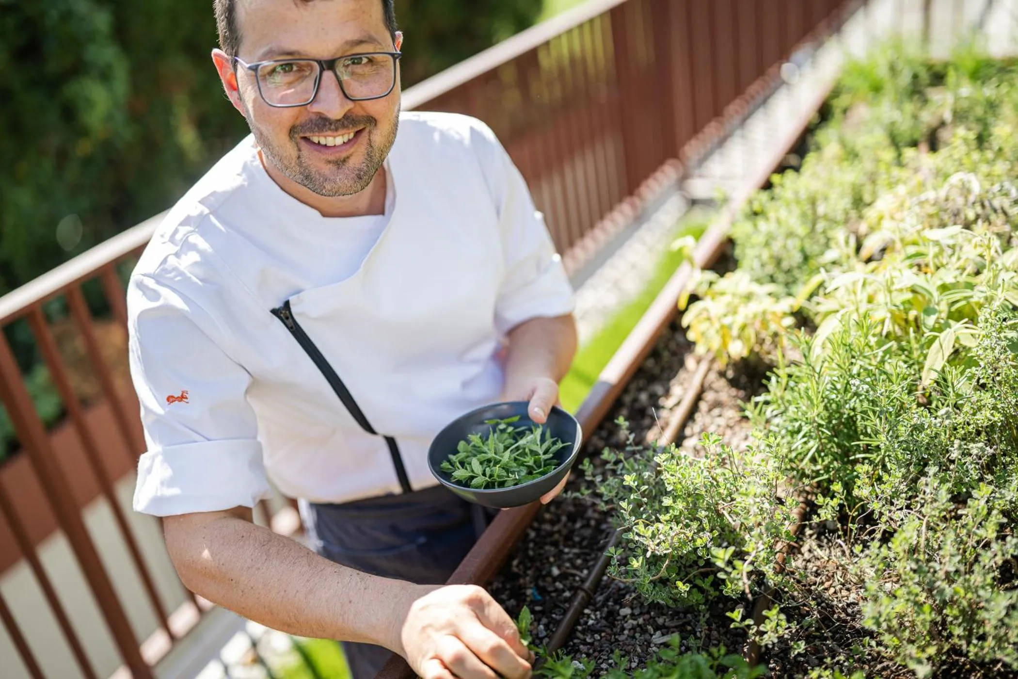 Garden in Hotel Anewandter