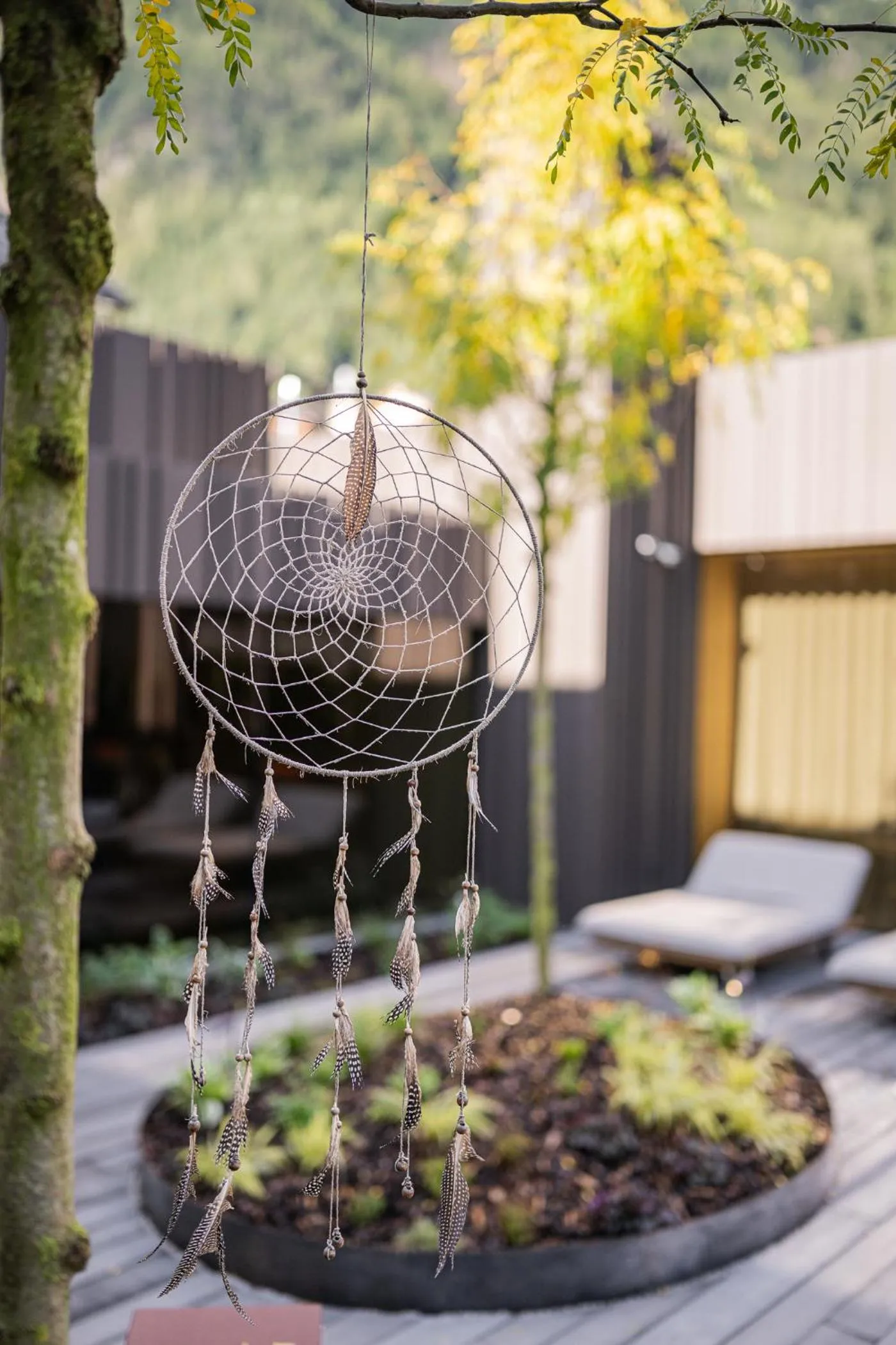 Garden in Hotel Anewandter