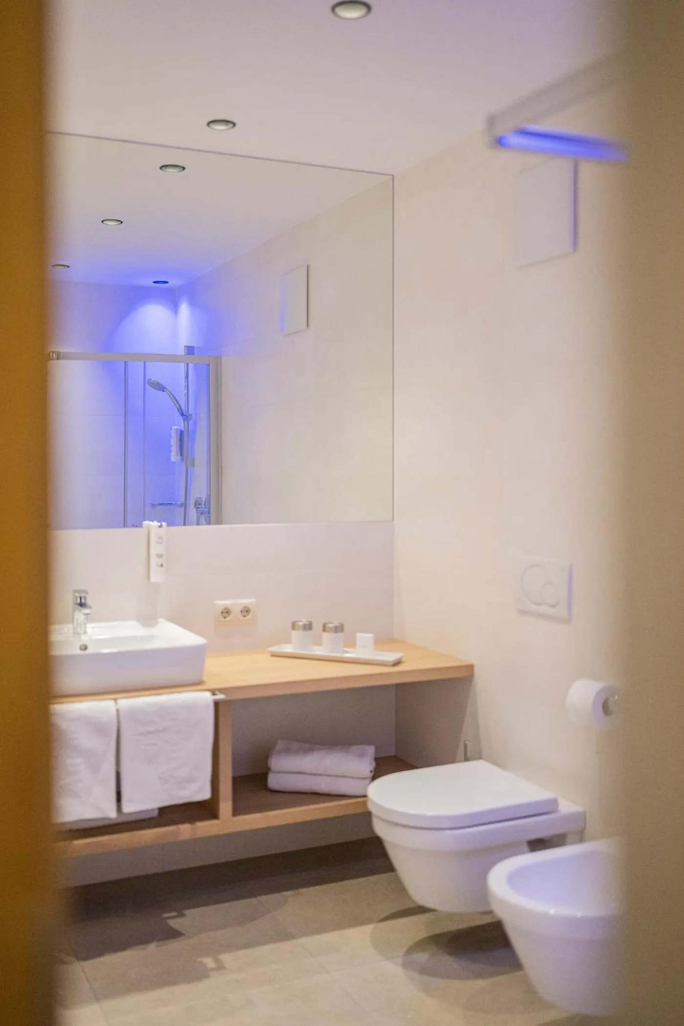 Toilet in Hotel Anewandter