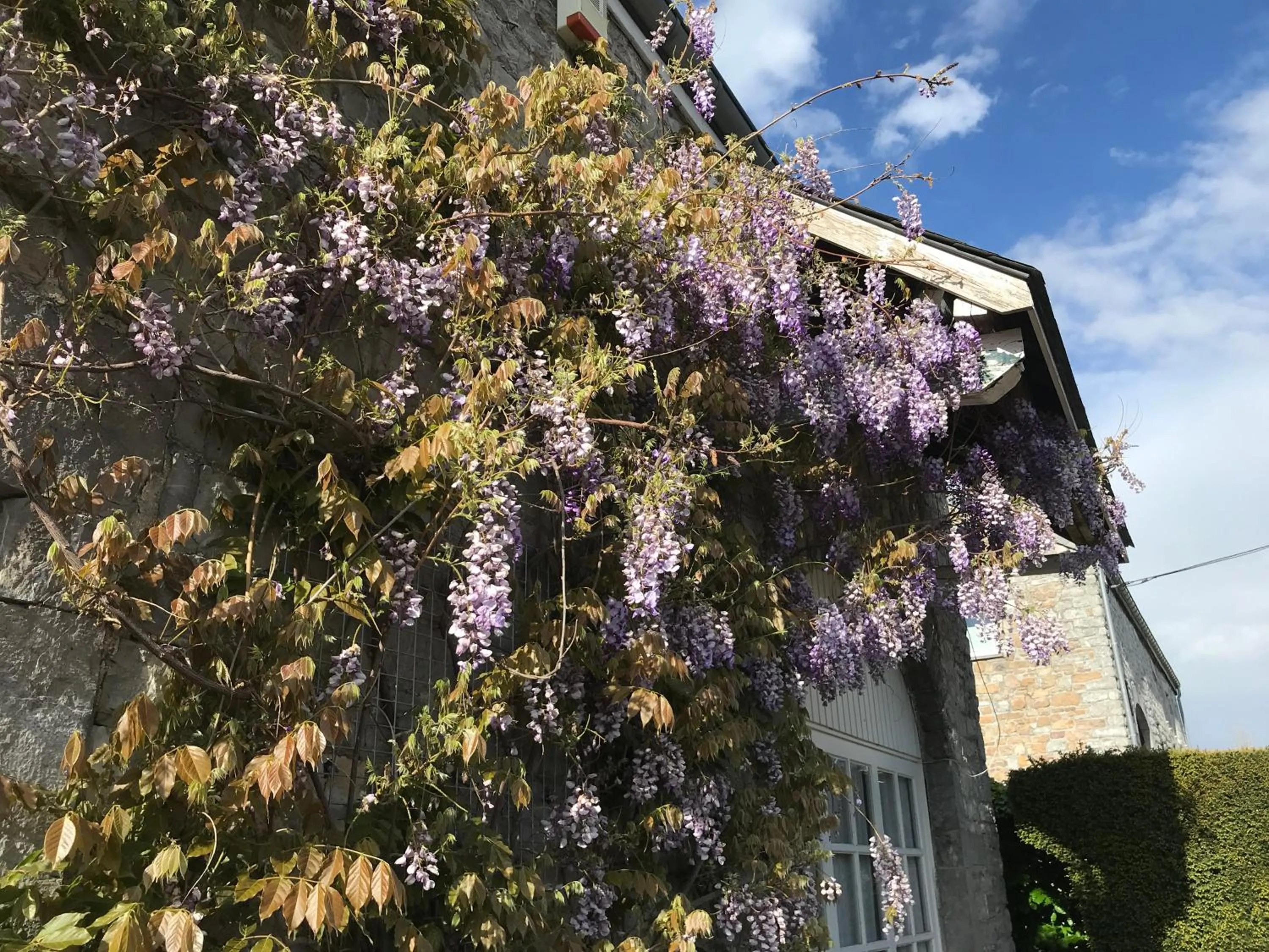 Property building in B&B La Buissonniere