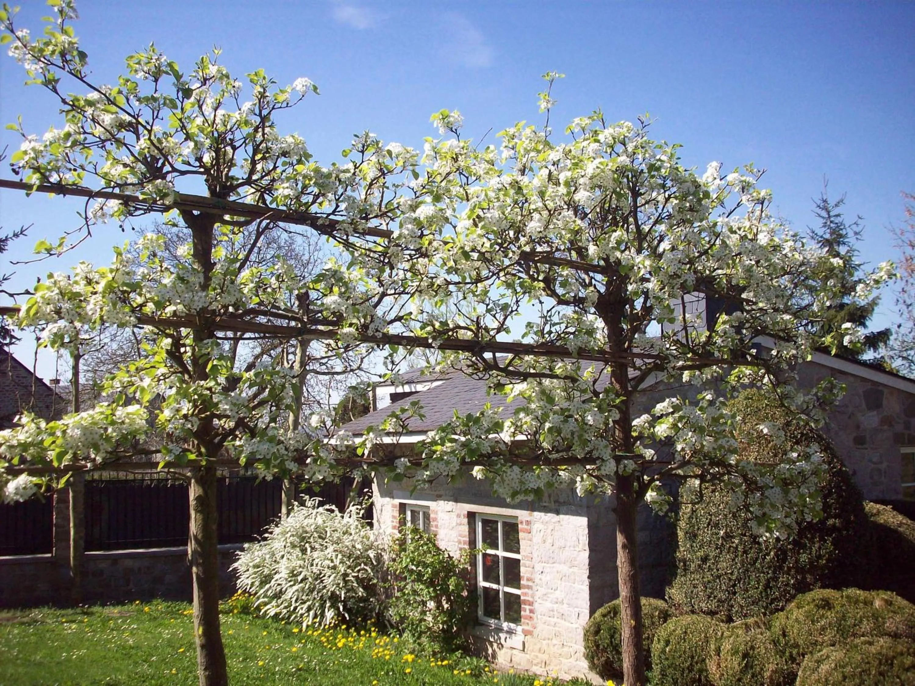 Garden in B&B La Buissonniere