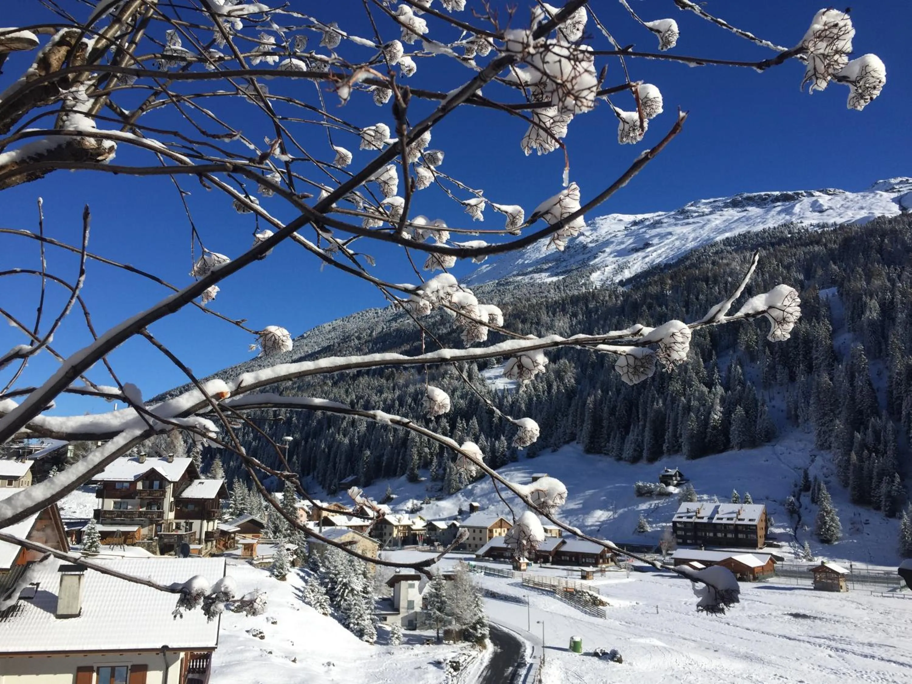 Mountain view in Chalet Bucaneve