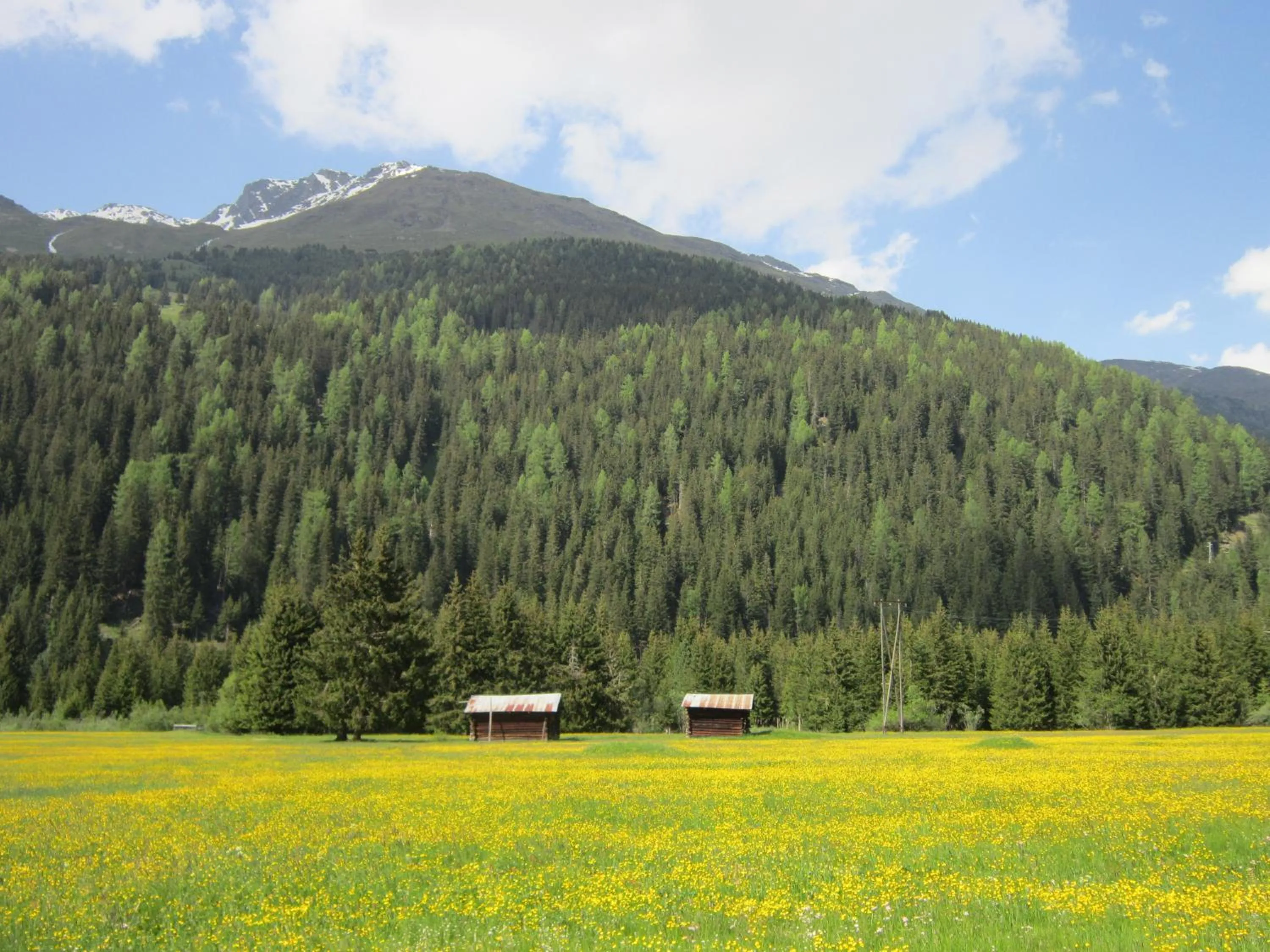 Natural landscape in Chalet Bucaneve