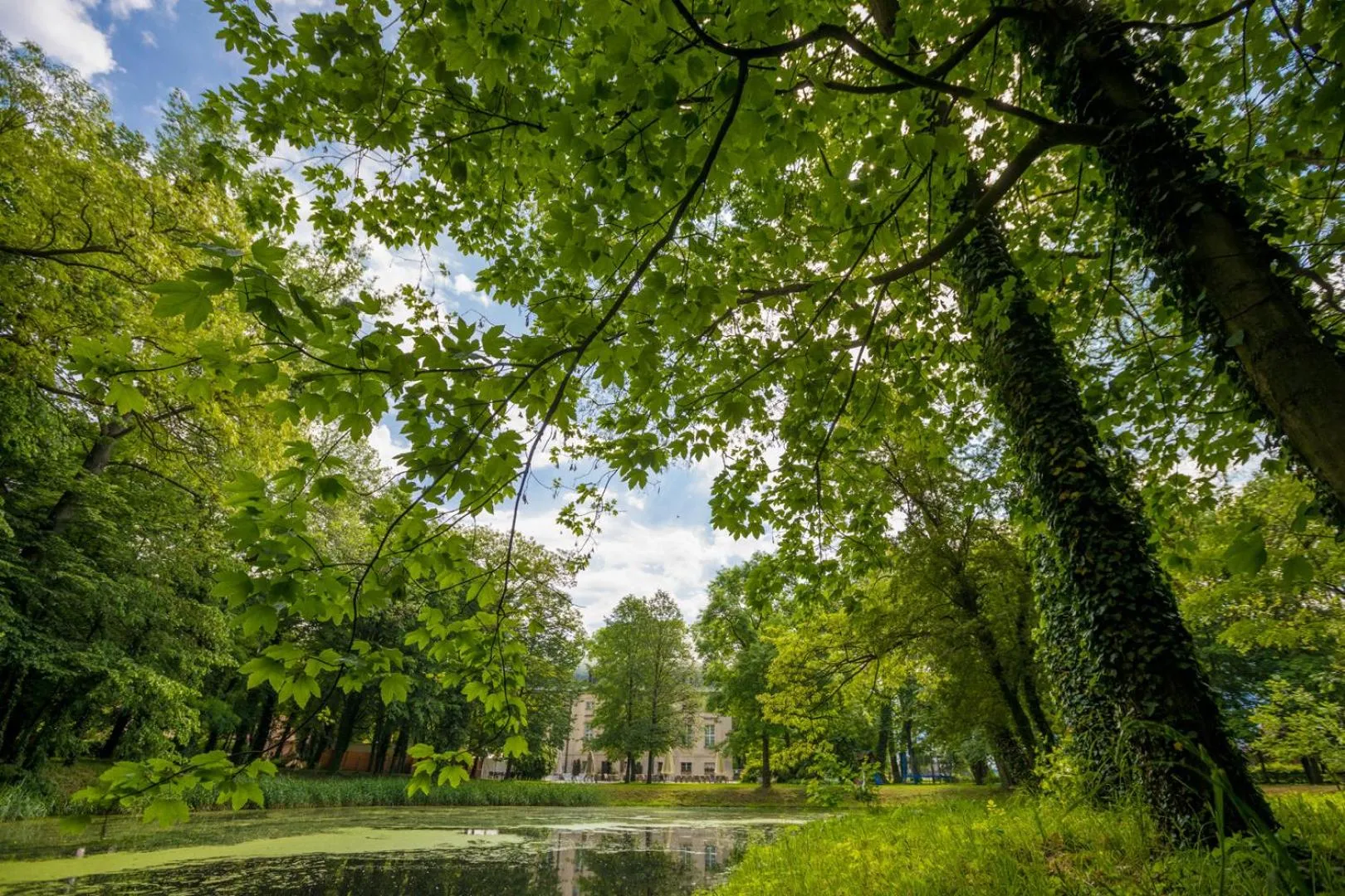 Garden in Pałac Pakosław