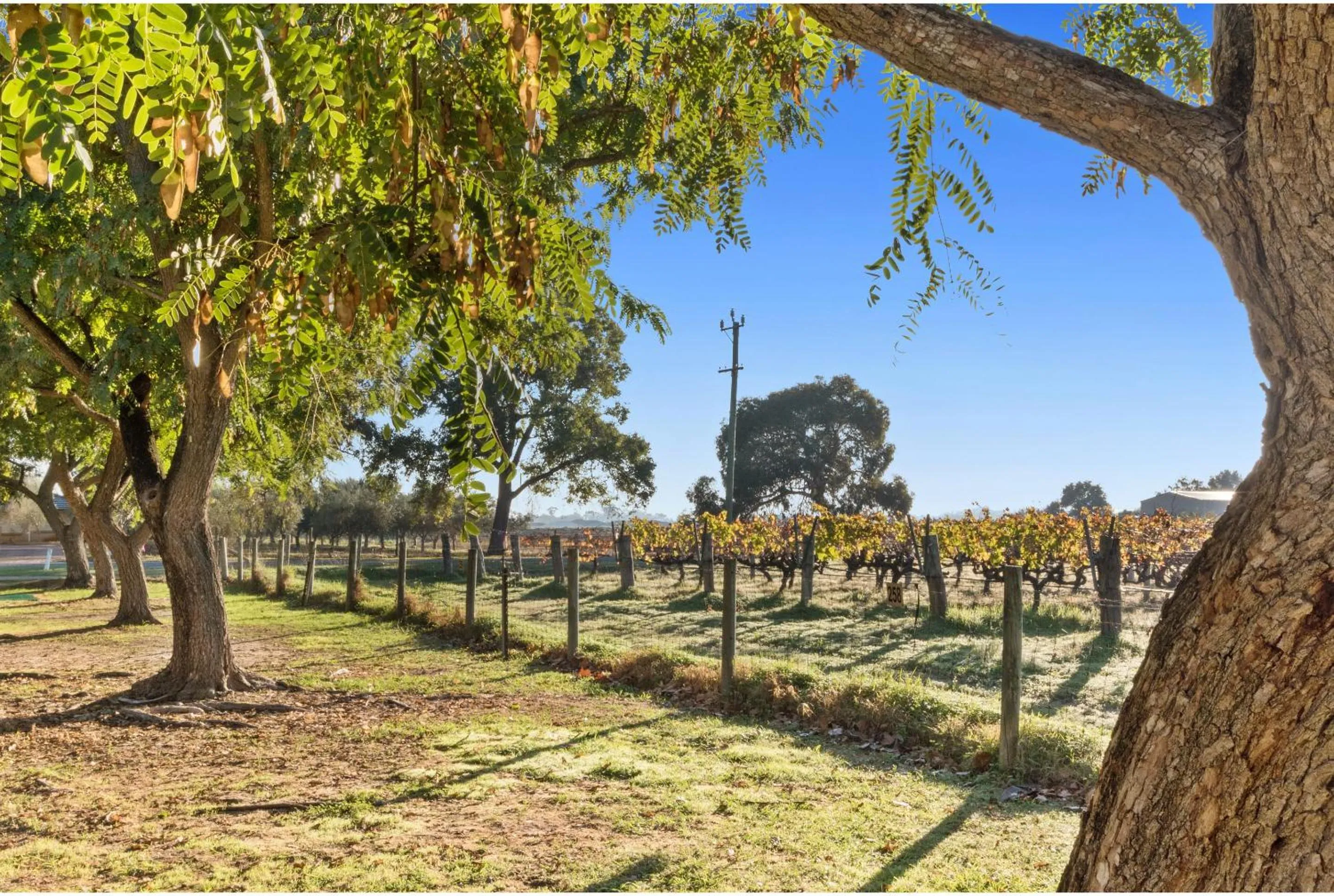 View (from property/room) in Discovery Parks - Swan Valley
