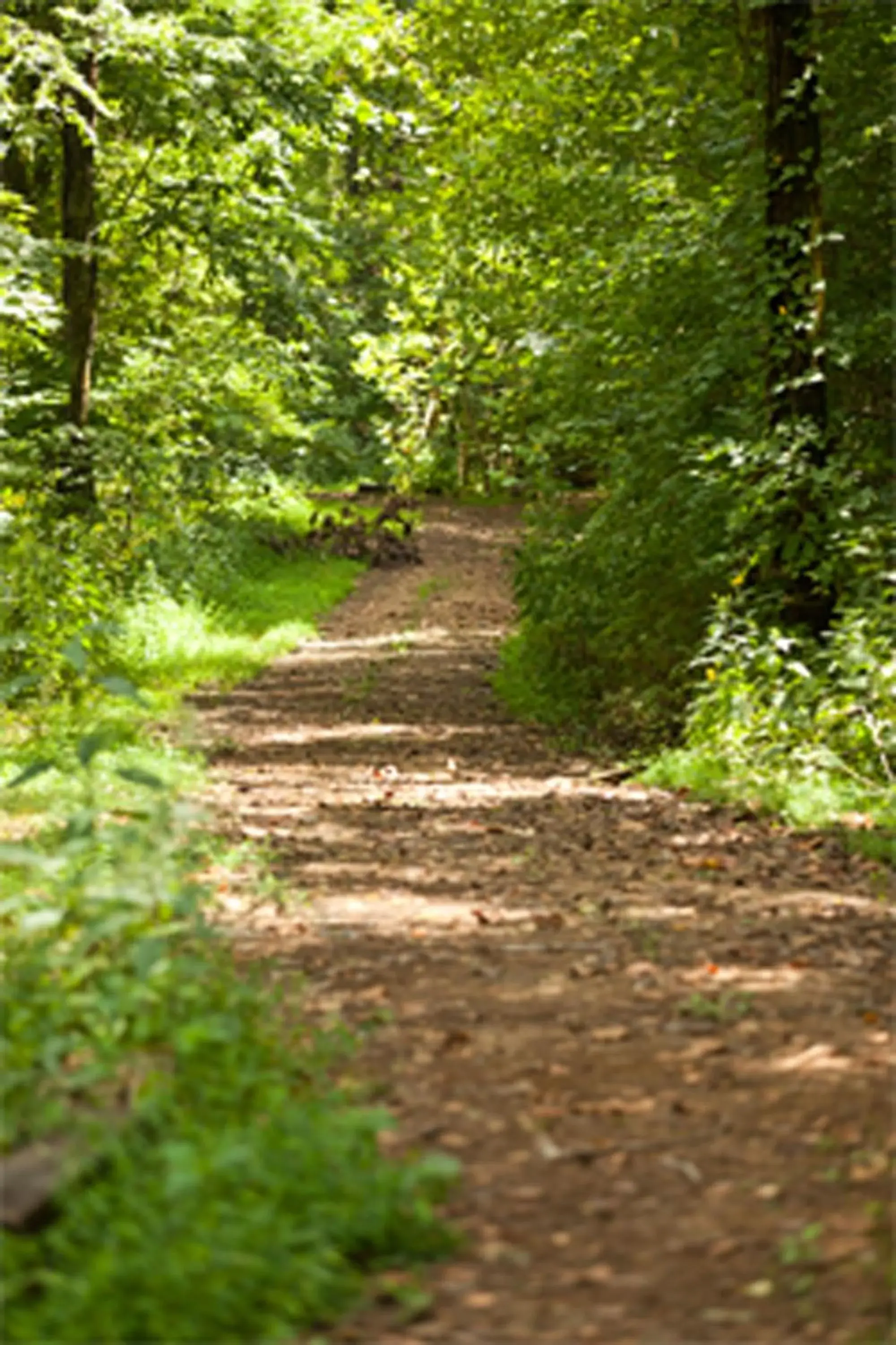 Four-Bedroom House in Brenda Lee History 4BR Retreat Pool Hot Tub Four-Bedroom House in Brenda Lee History 4BR Retreat Pool Hot Tub