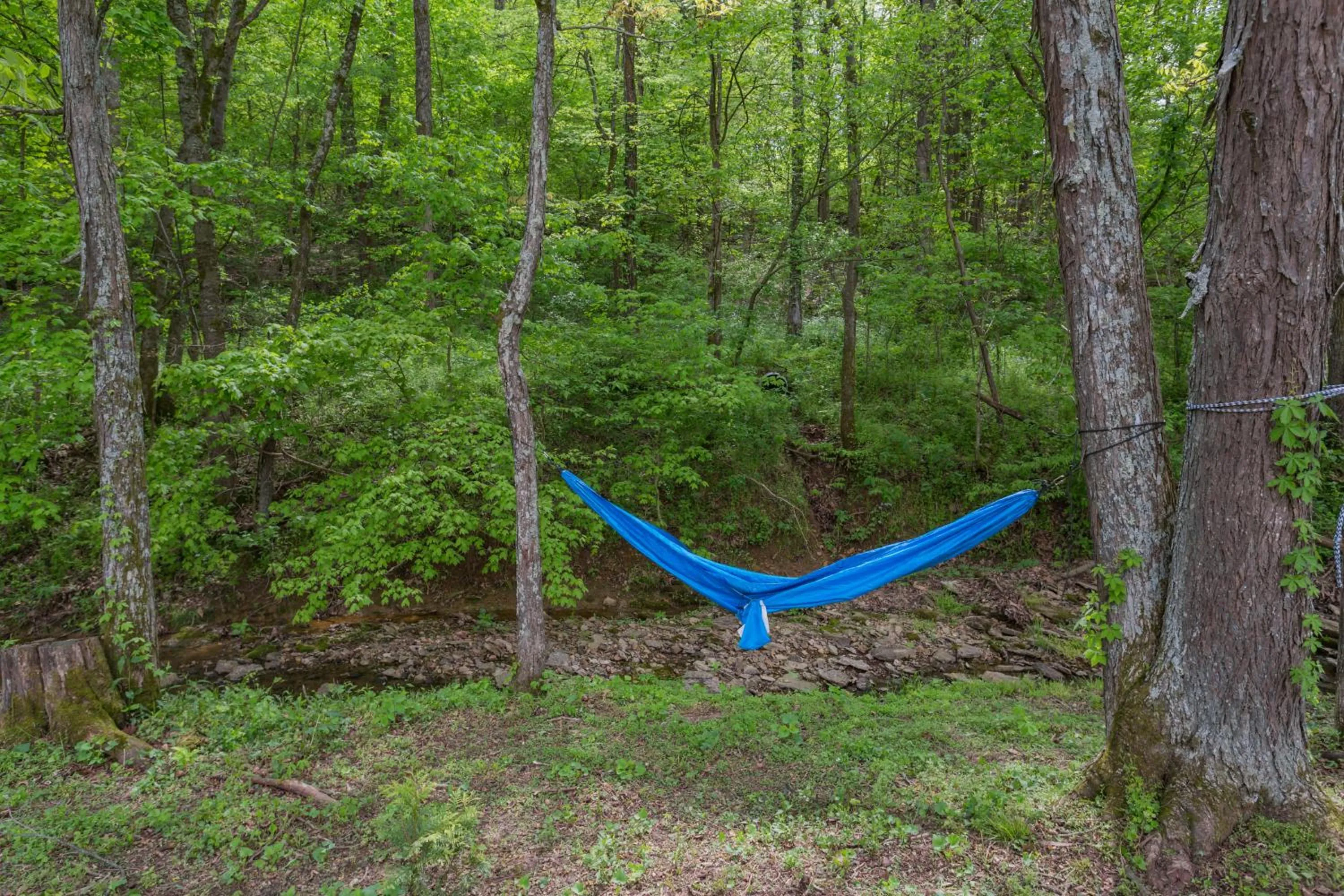 Lounge or bar in Brenda Lee History 4BR Retreat Pool Hot Tub