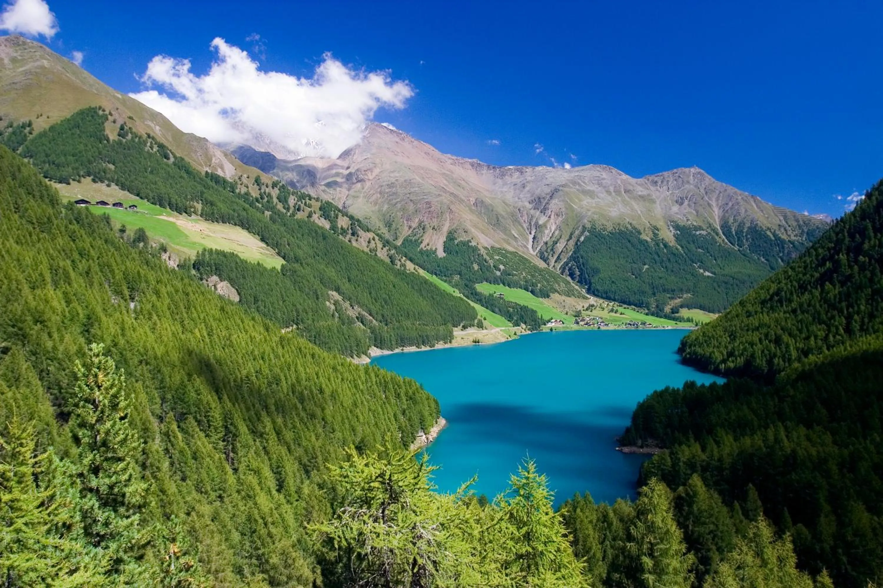 Natural landscape in Hotel Vernagt