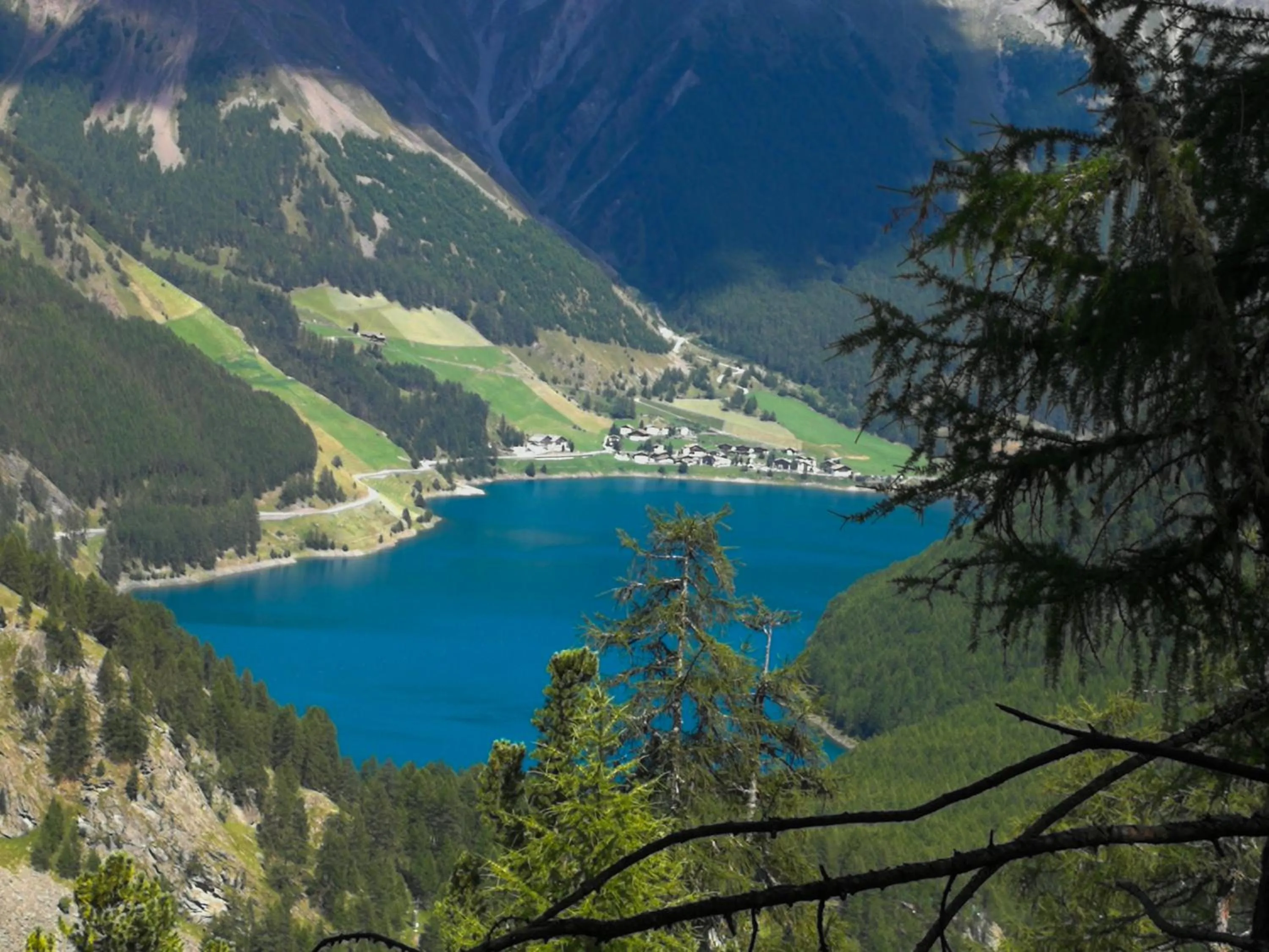 Natural landscape in Hotel Vernagt