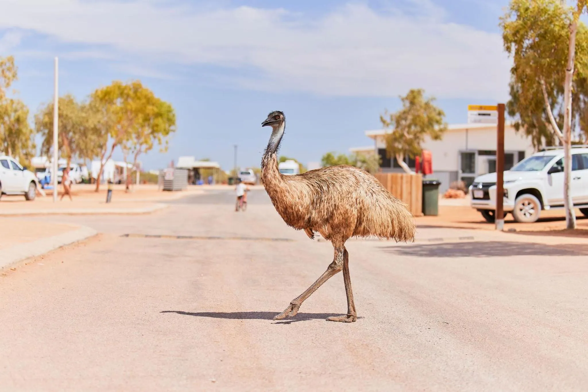 Animals in RAC Exmouth Cape Holiday Park